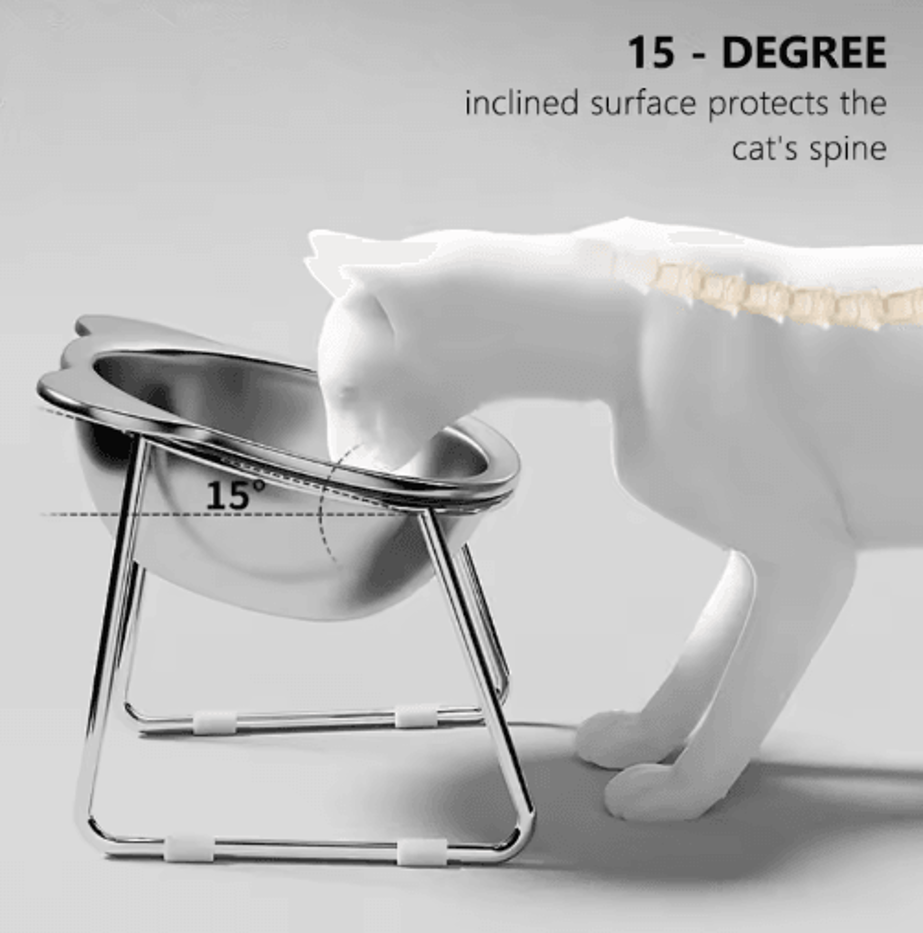 elevated stainless steel cat bowl raised cat bowl with 15° tilted design for healthier feeding
