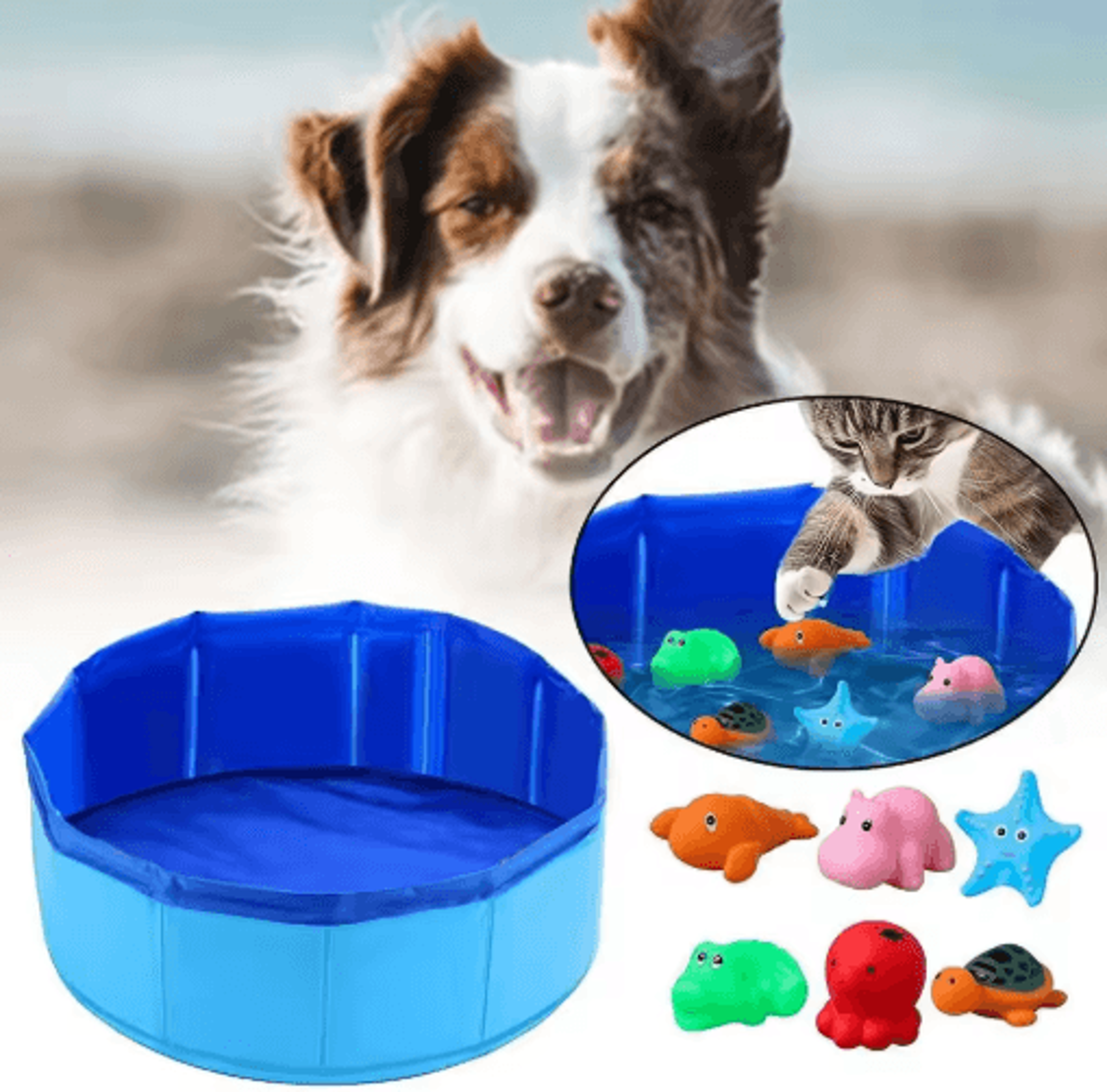 Splash Paws Foldable Pet Pool  Bath Tub For Cats And Dogs 4