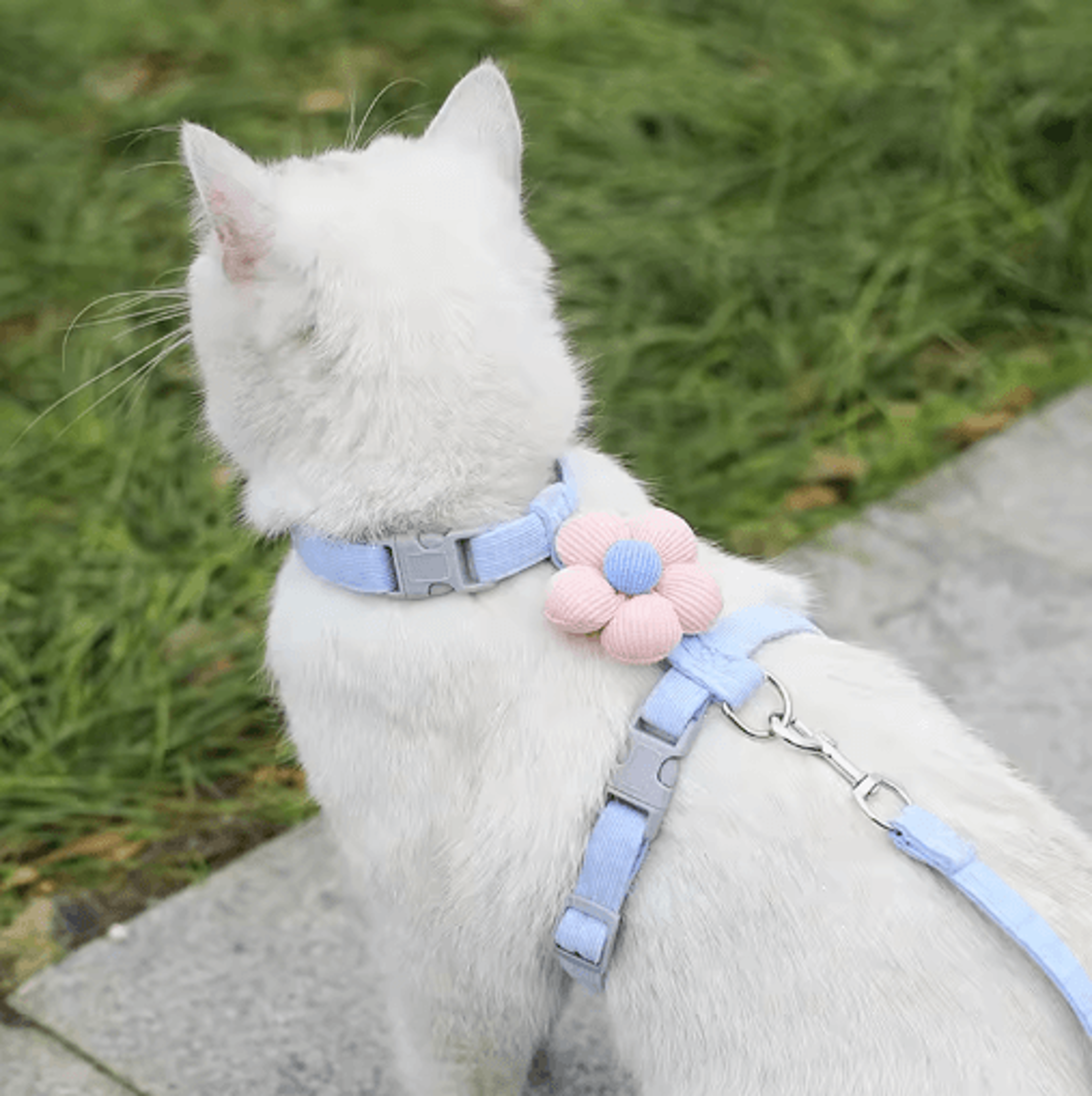 Adjustable Flower Pet Harness And Leash Set For Cats Puppies And Small Dogs 4