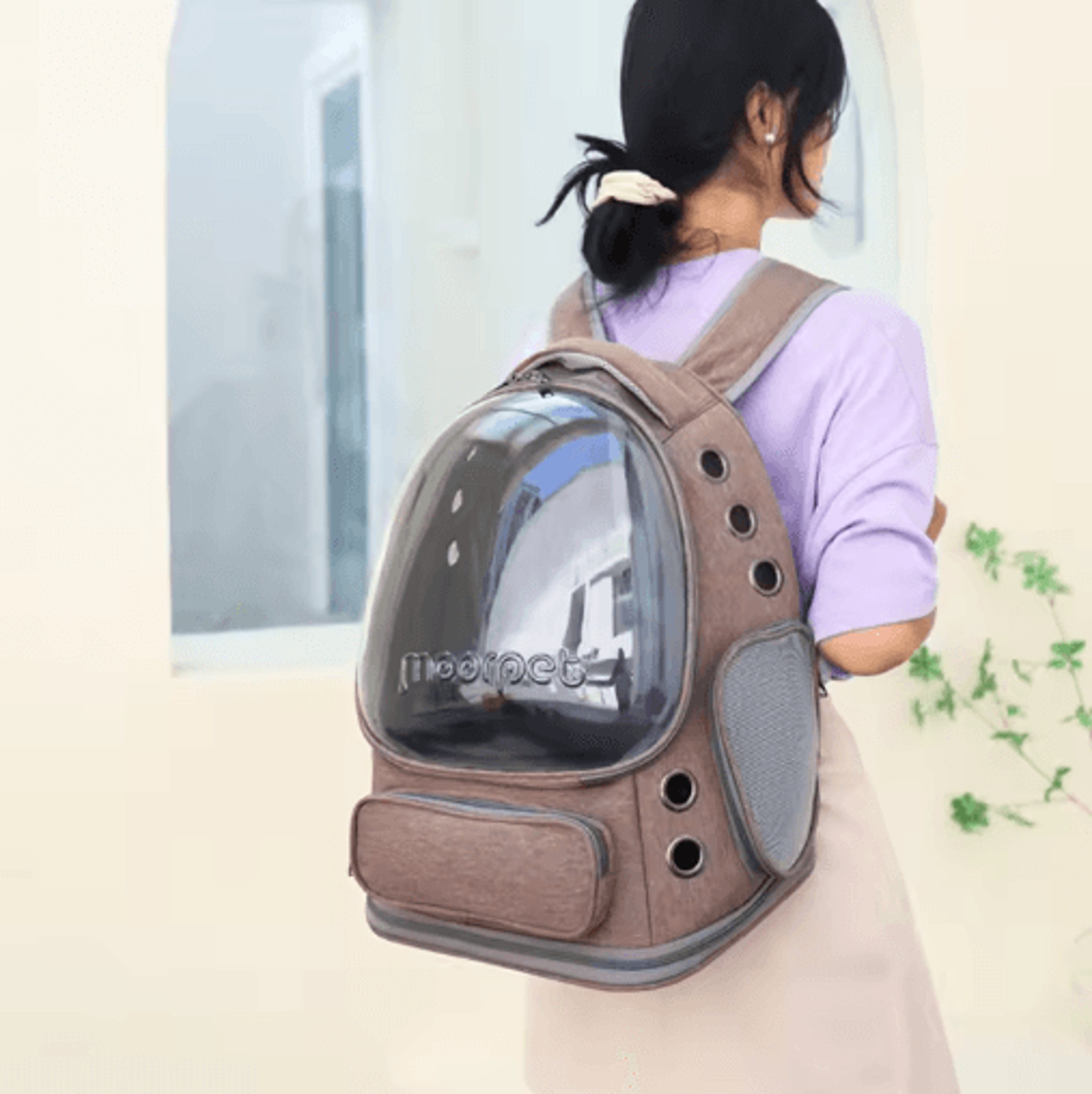 Transparent Folding Pet Carrier Backpack For Cats And Small Dogs 3