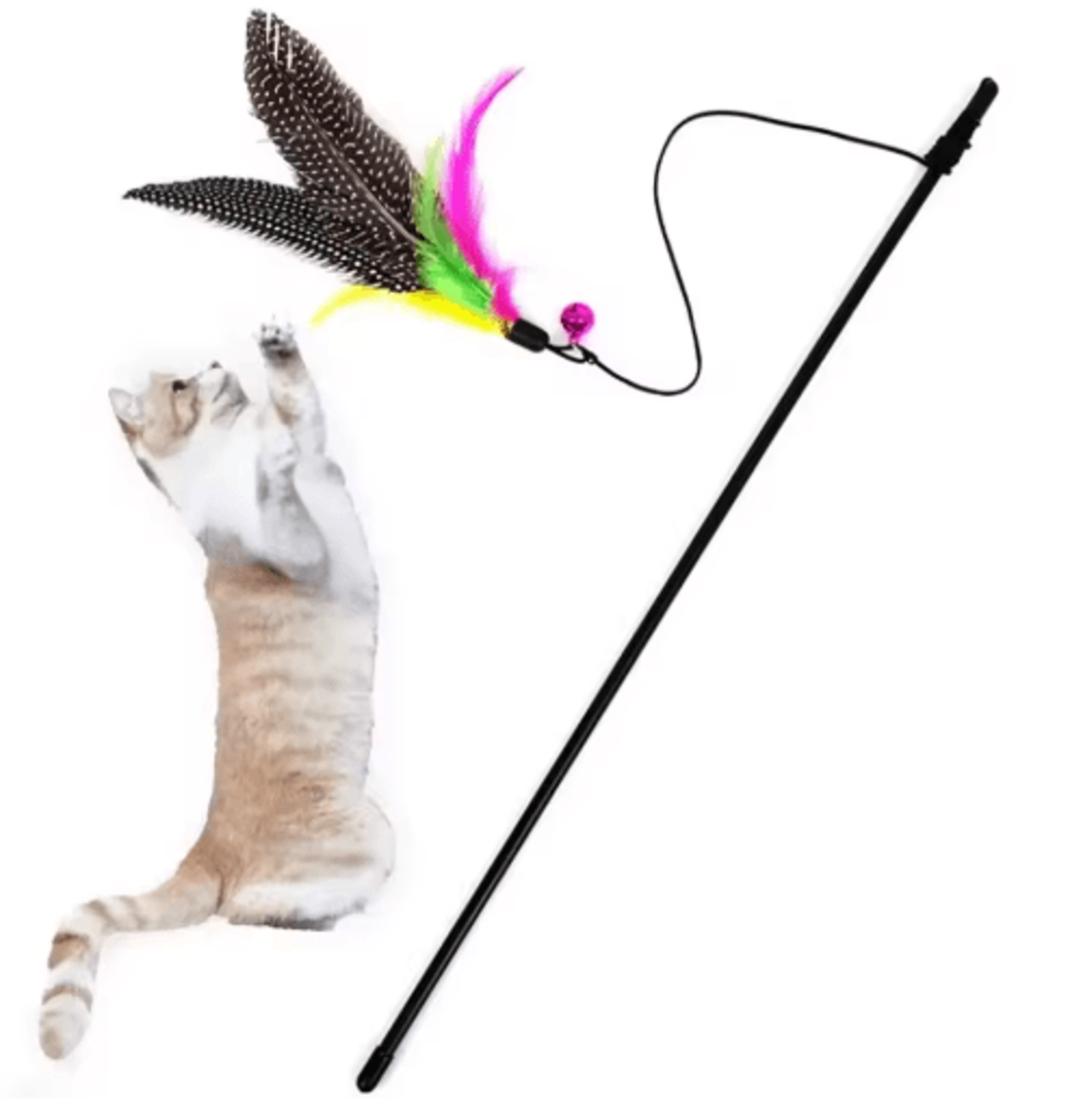 Interactive Cat Teaser Wand With Feather And Bell For Active Play 0