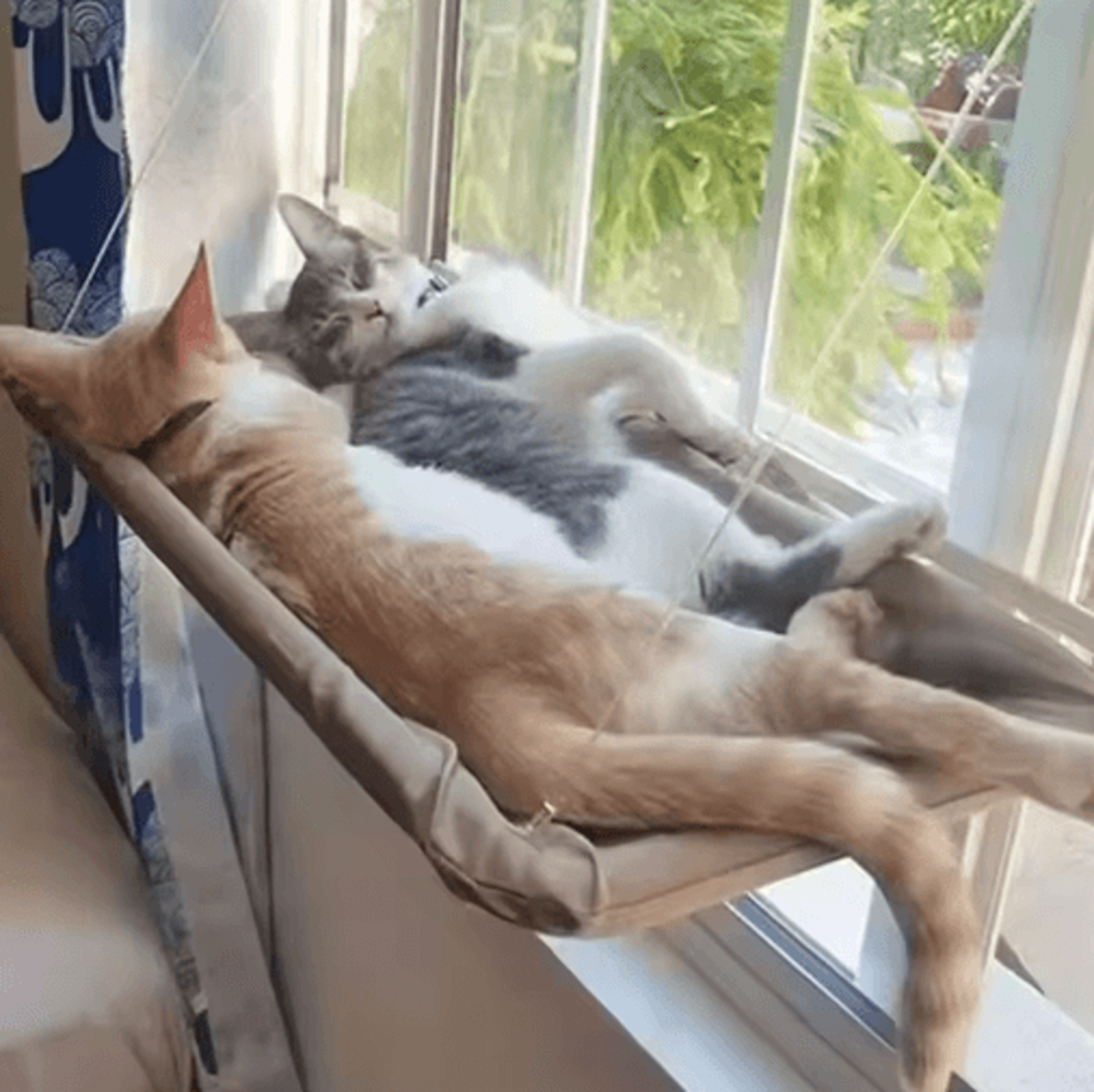 Ultra Soft Cat Window Hammock Bed  SpaceSaving Window Perch For Cozy Feline Nap 0
