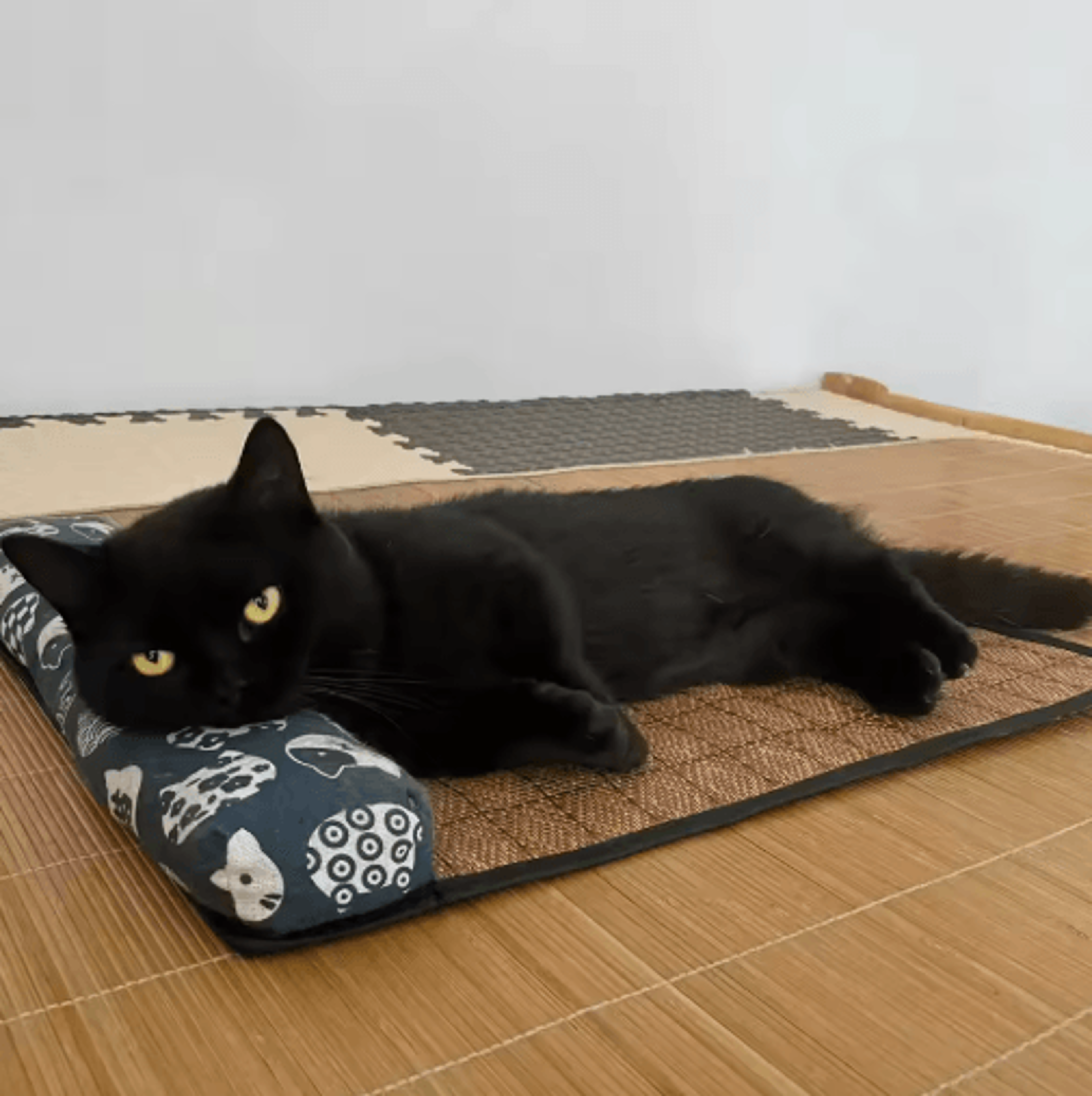 Natural Rattan Cooling Pet Mat SelfCooling Summer Bed For Cats And Small Dogs 15