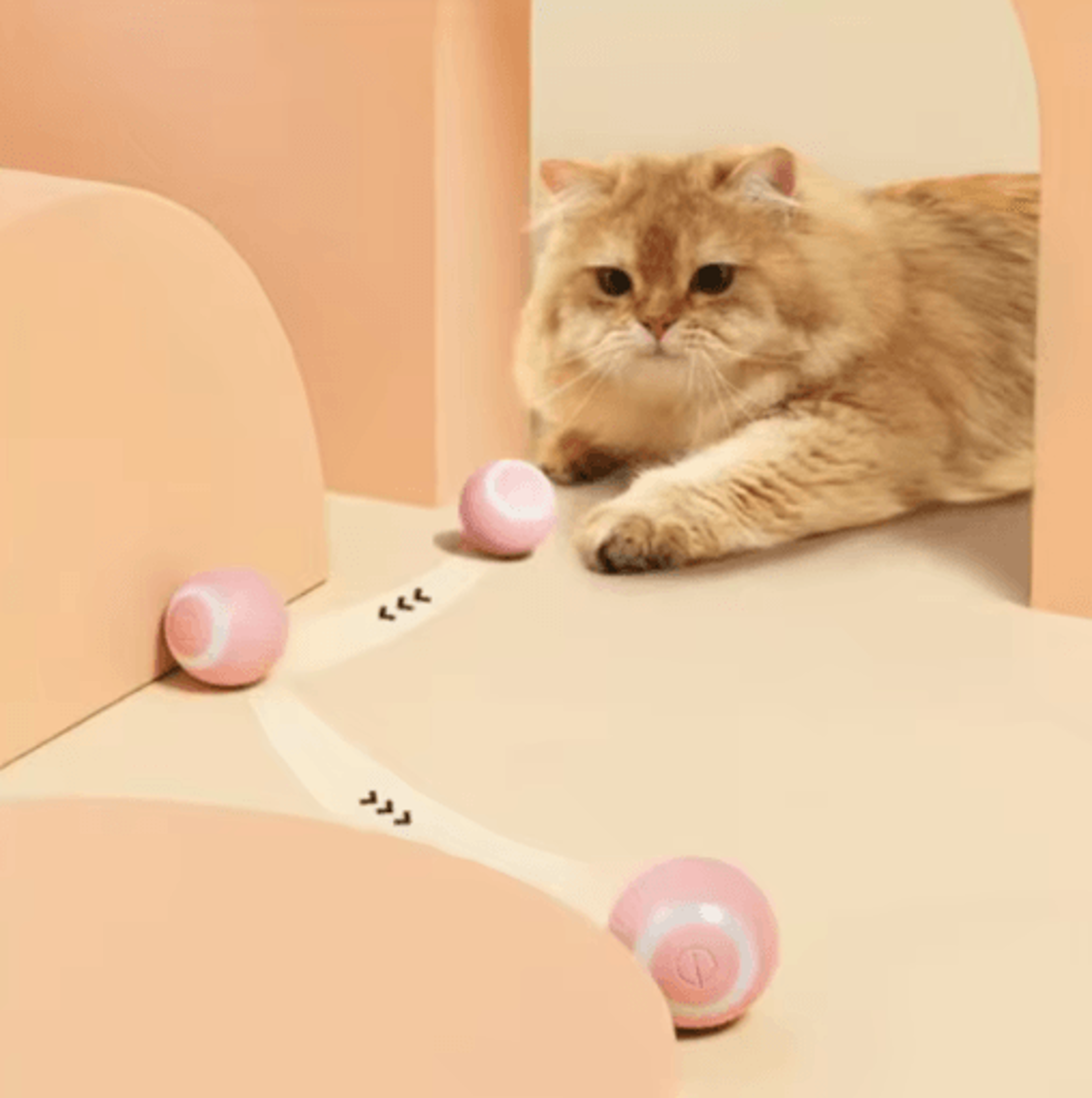 SmartRoll Interactive Cat Ball Automatic SelfMoving Cat Toy For Indoor Cats  Kittens 3