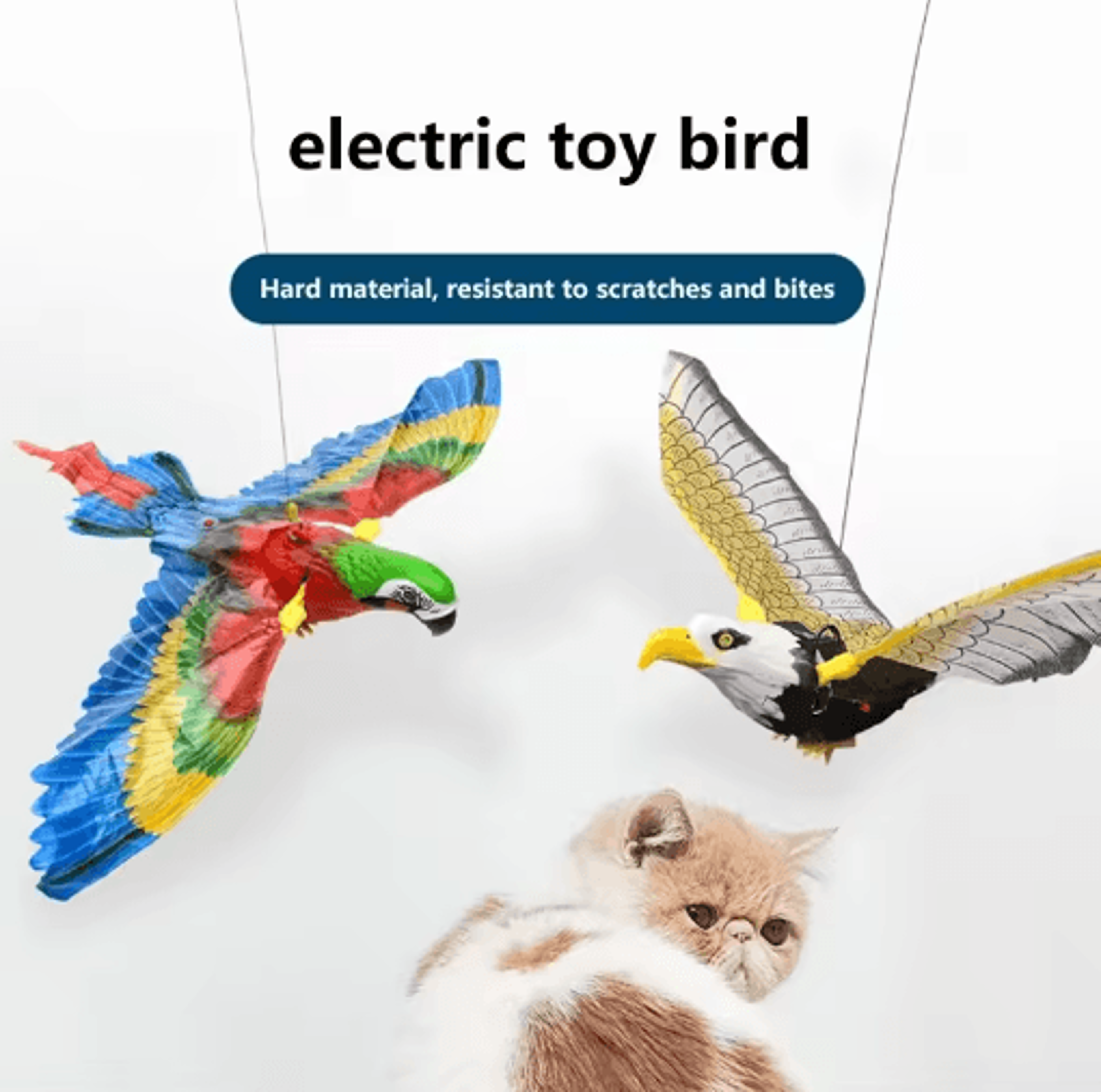 SkyHunter Hanging Bird Cat Toy Interactive DoorMounted Teaser With Scratch Rope  Simulated Bird 0