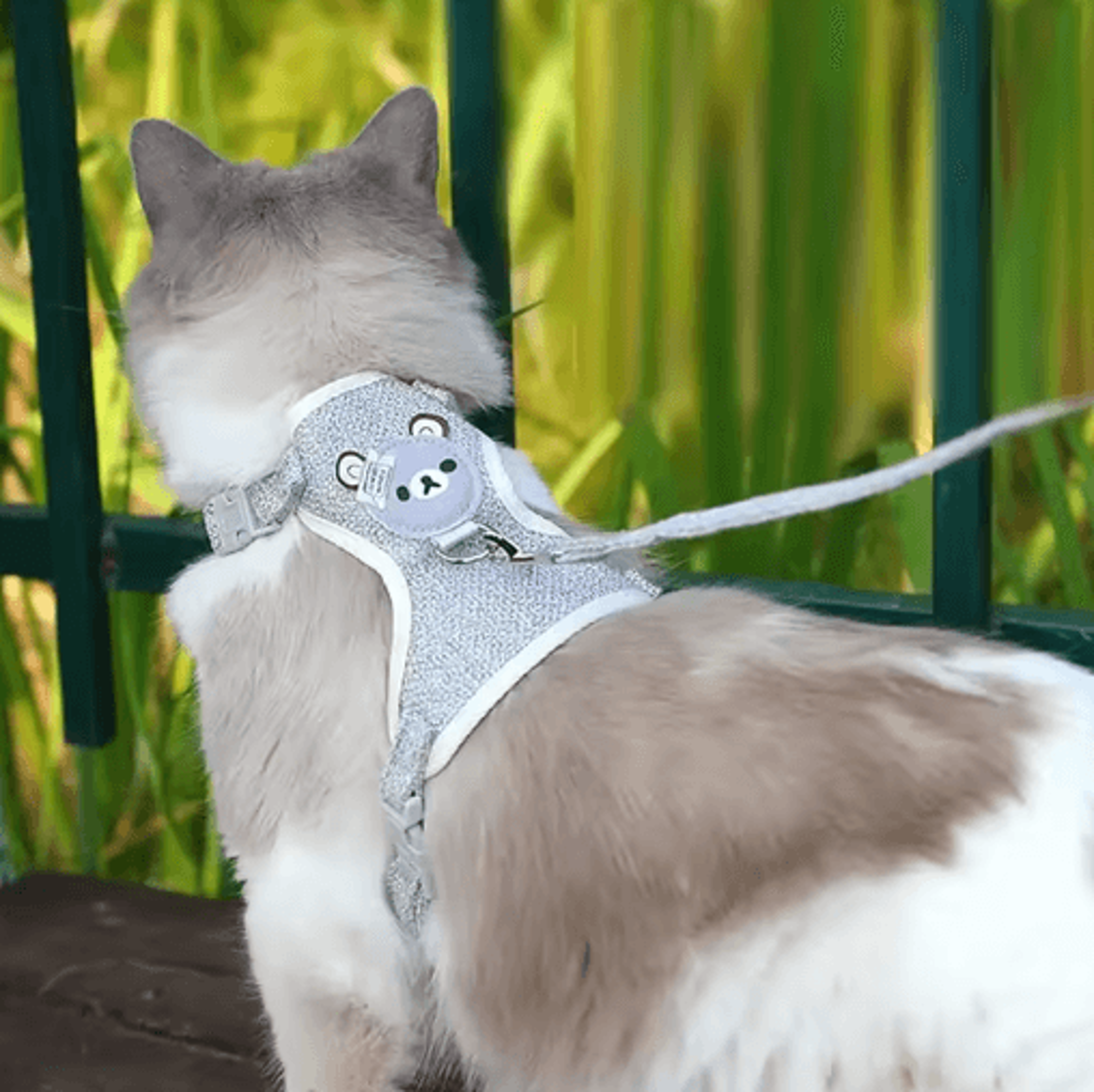 Paw Secure Kitten Harness  Collar Set Adjustable Walking Harness For Cats Kittens  Small Pets 8