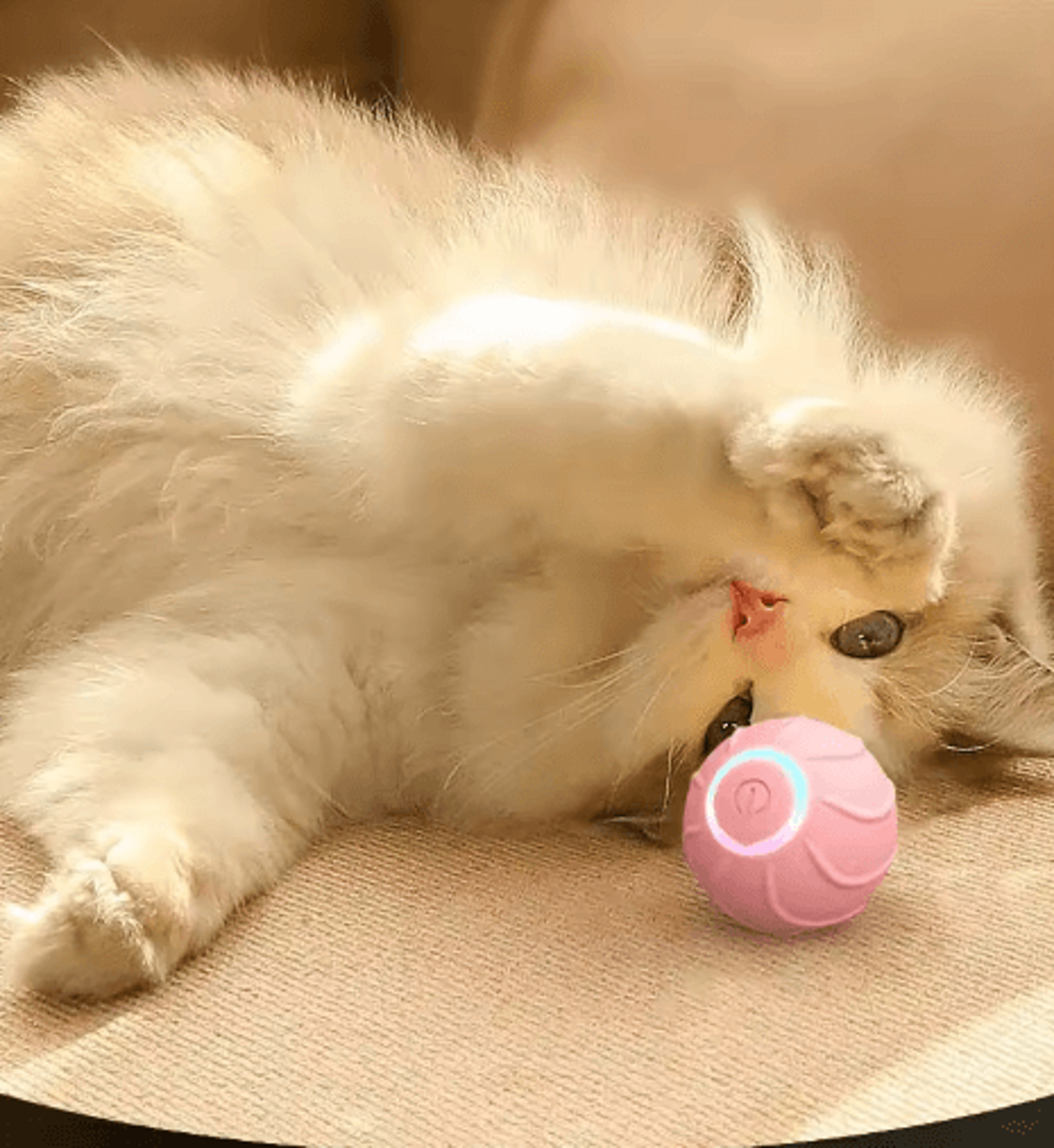 SmartBounce USB Rechargeable Interactive Rolling Ball Cat Toy 6
