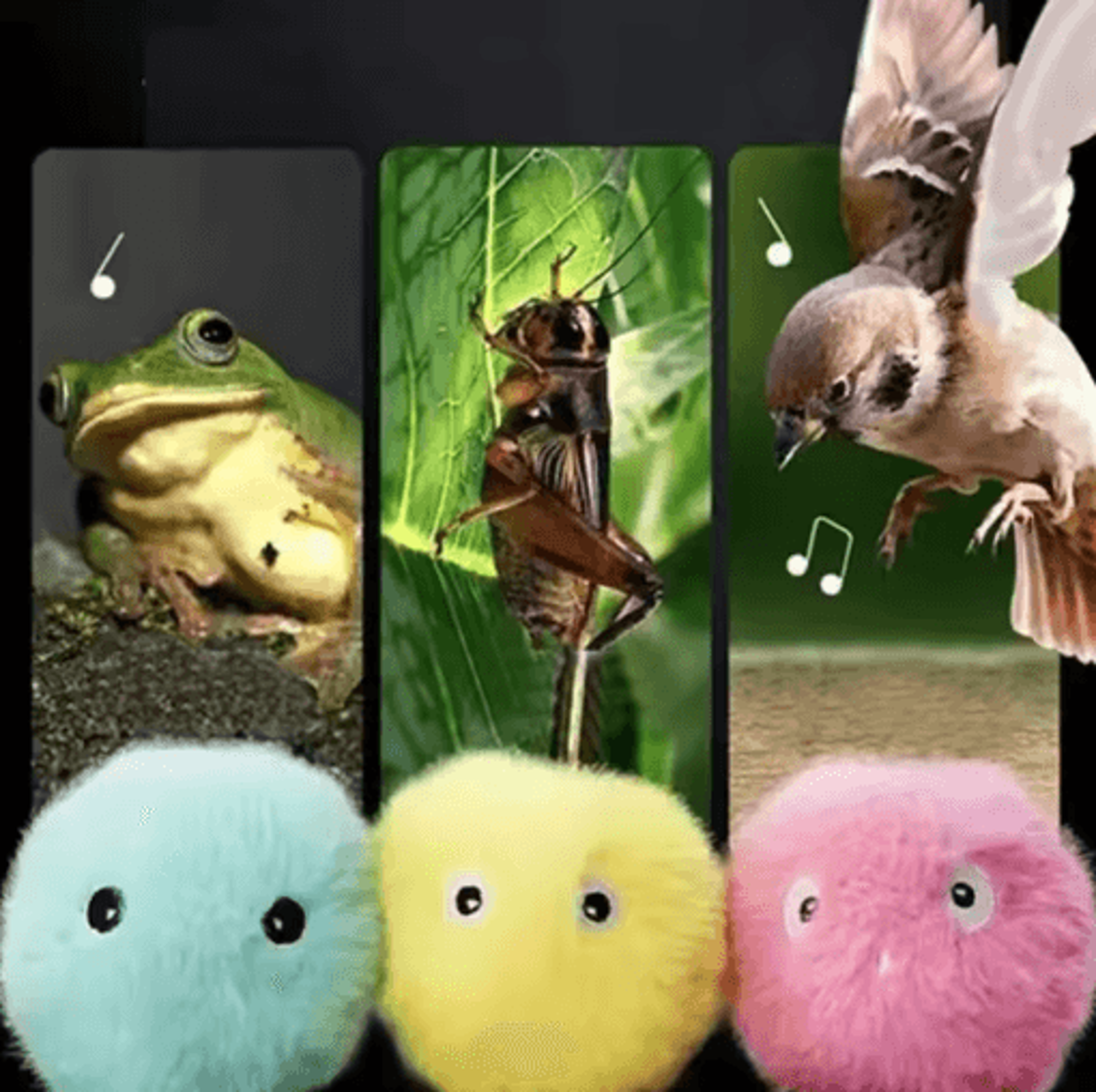 Chirp Bounce Interactive Sound Cat Toy Balls Set 9