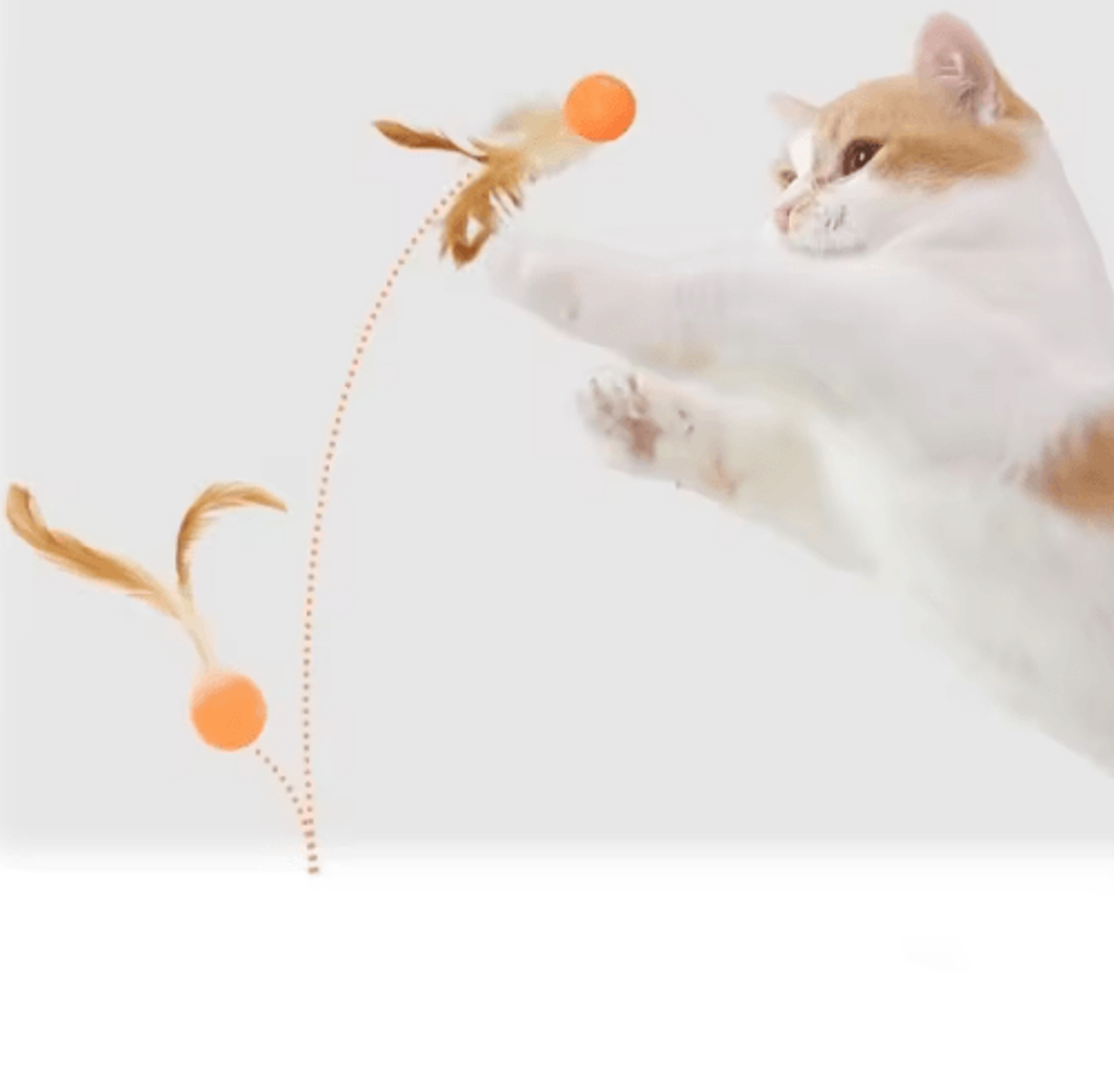 BounceFeather Interactive Elastic Ball Cat Toy With Feather Teaser 5