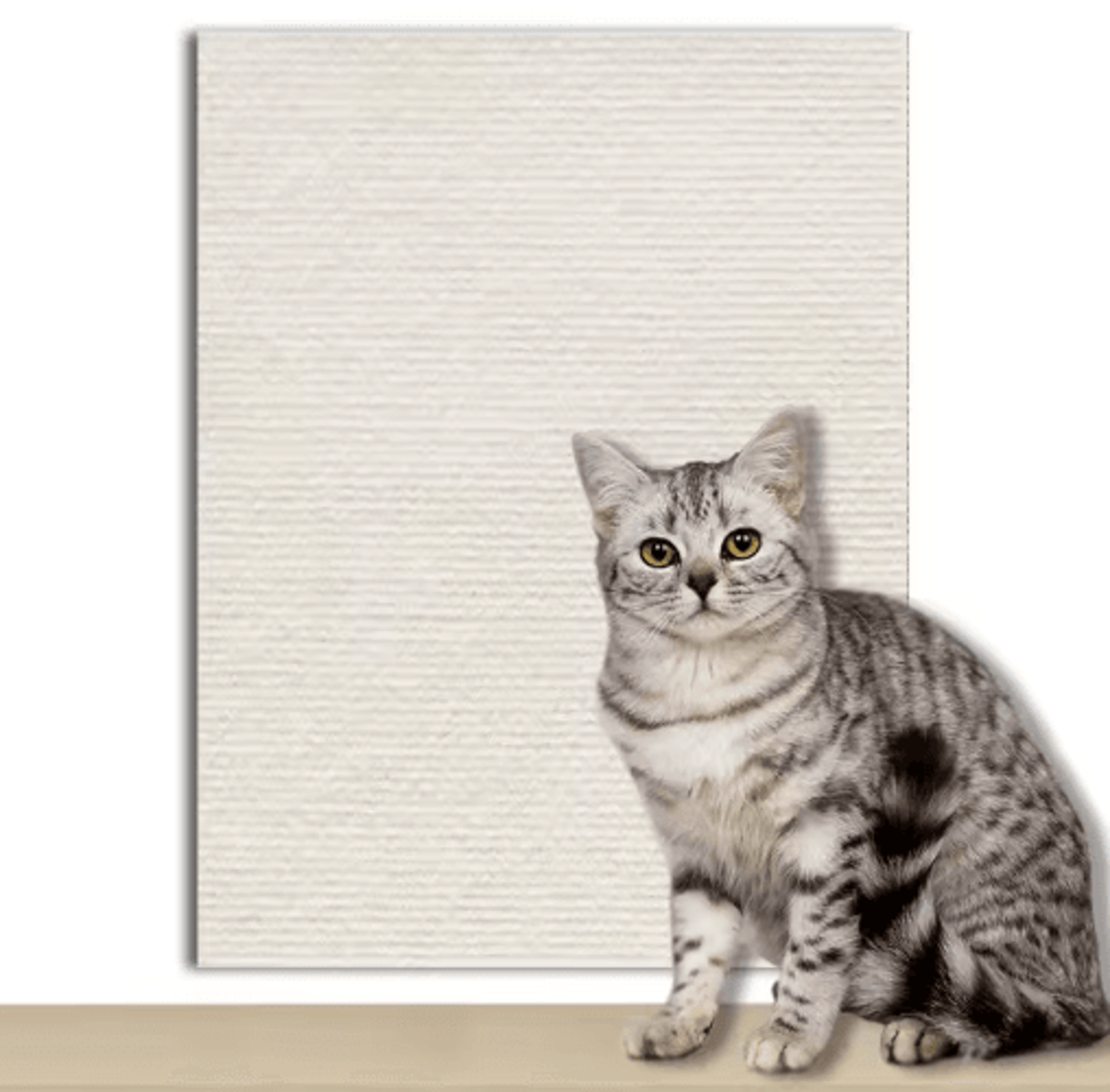 Climb Guard Self Adhesive Cat Climbing  Scratch Protection Mat 5