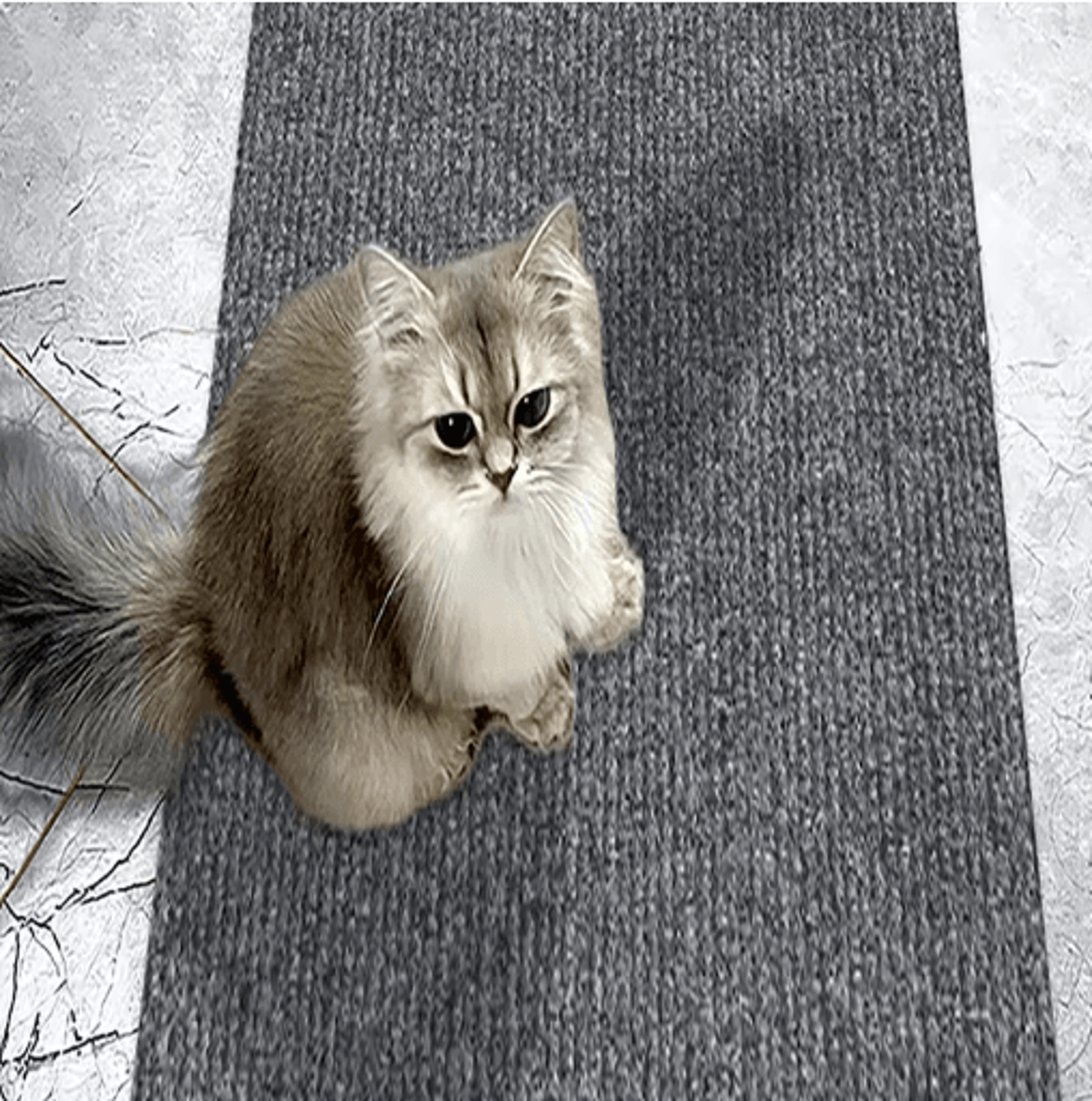 Climb Guard Self Adhesive Cat Climbing  Scratch Protection Mat 6