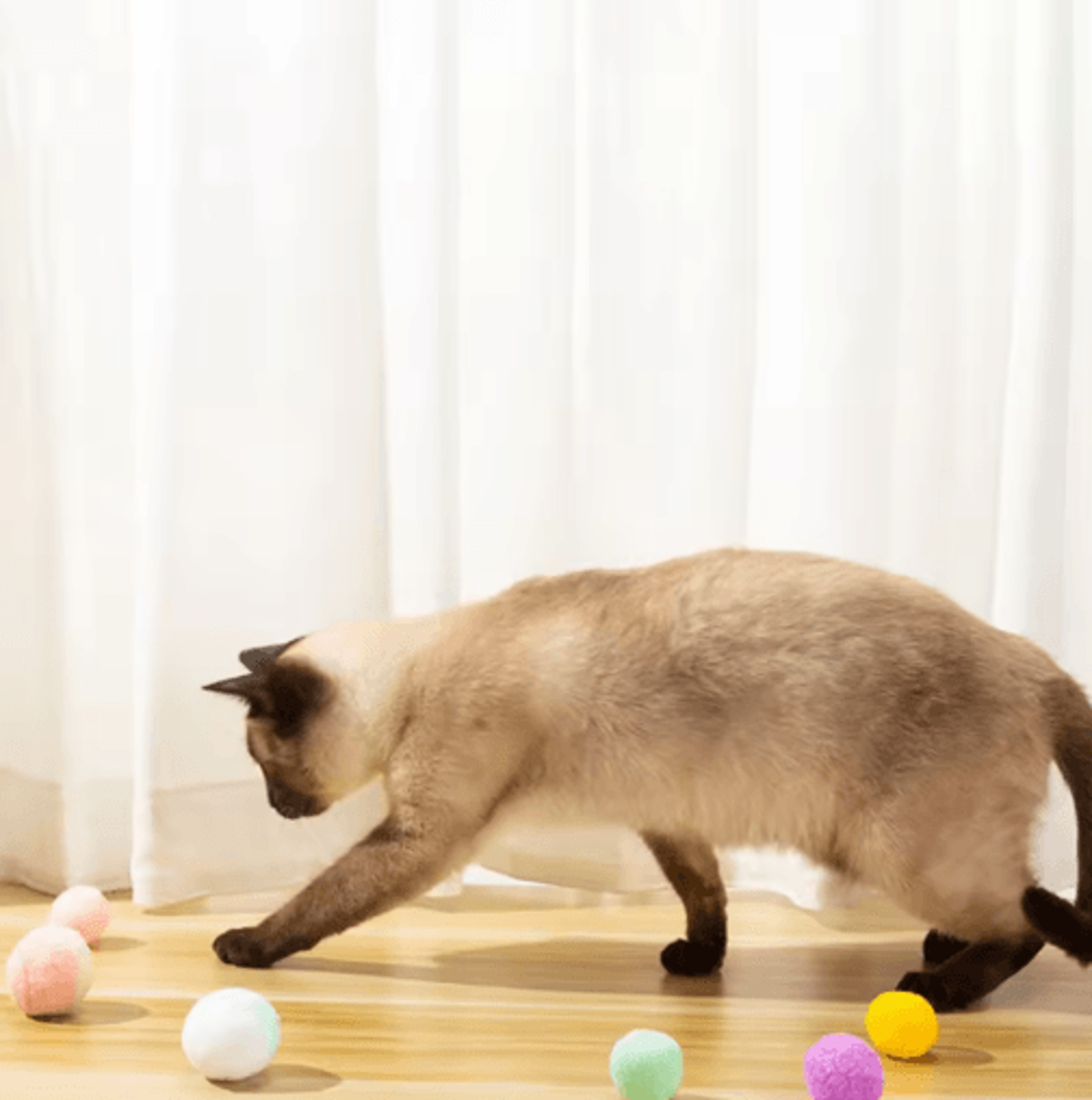 FluffyPounce Soft Pom Pom Cat Toy Balls For Interactive Play 4