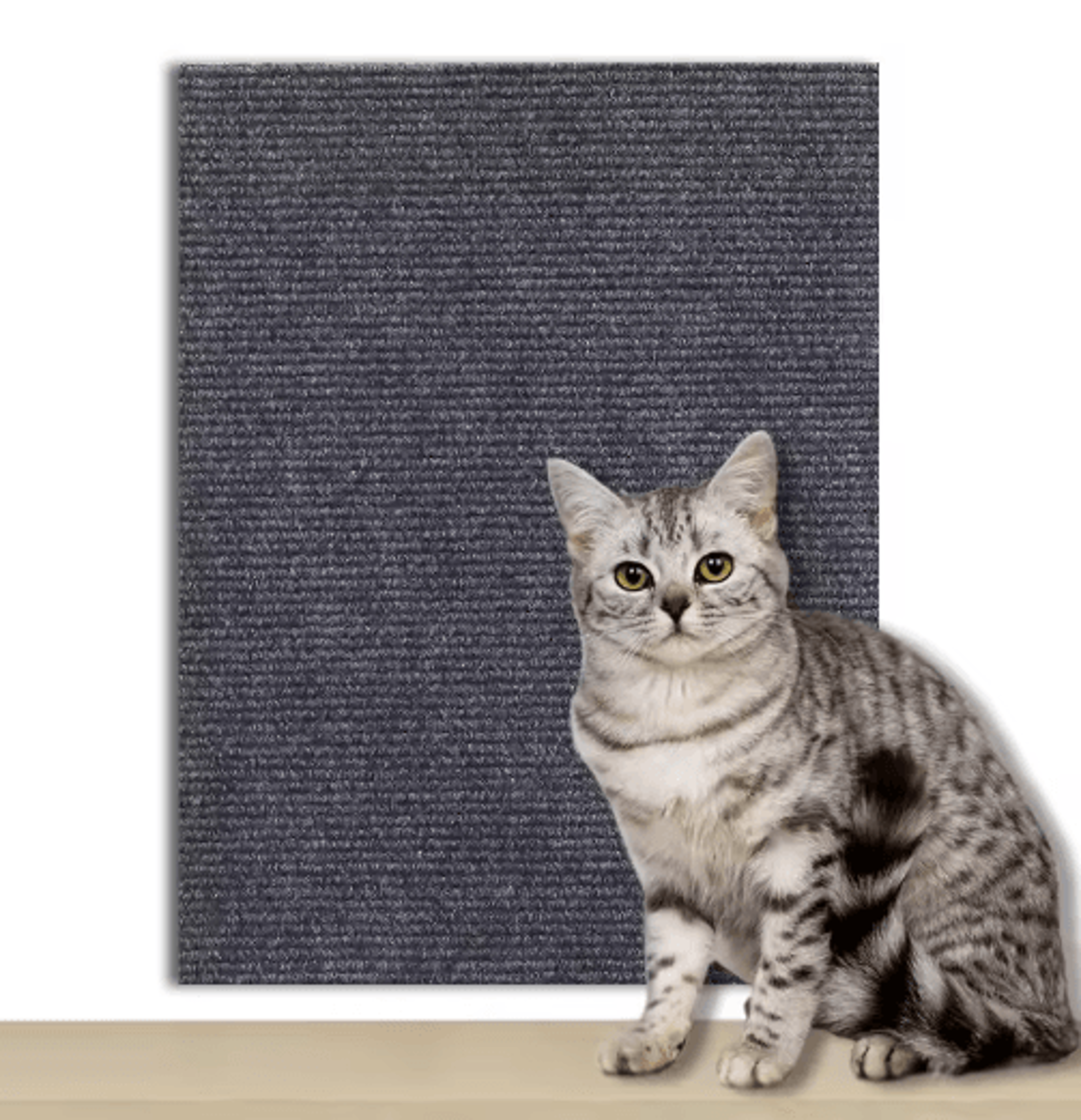 Scratch Guard SelfAdhesive Cat Scratching Carpet Protector 3