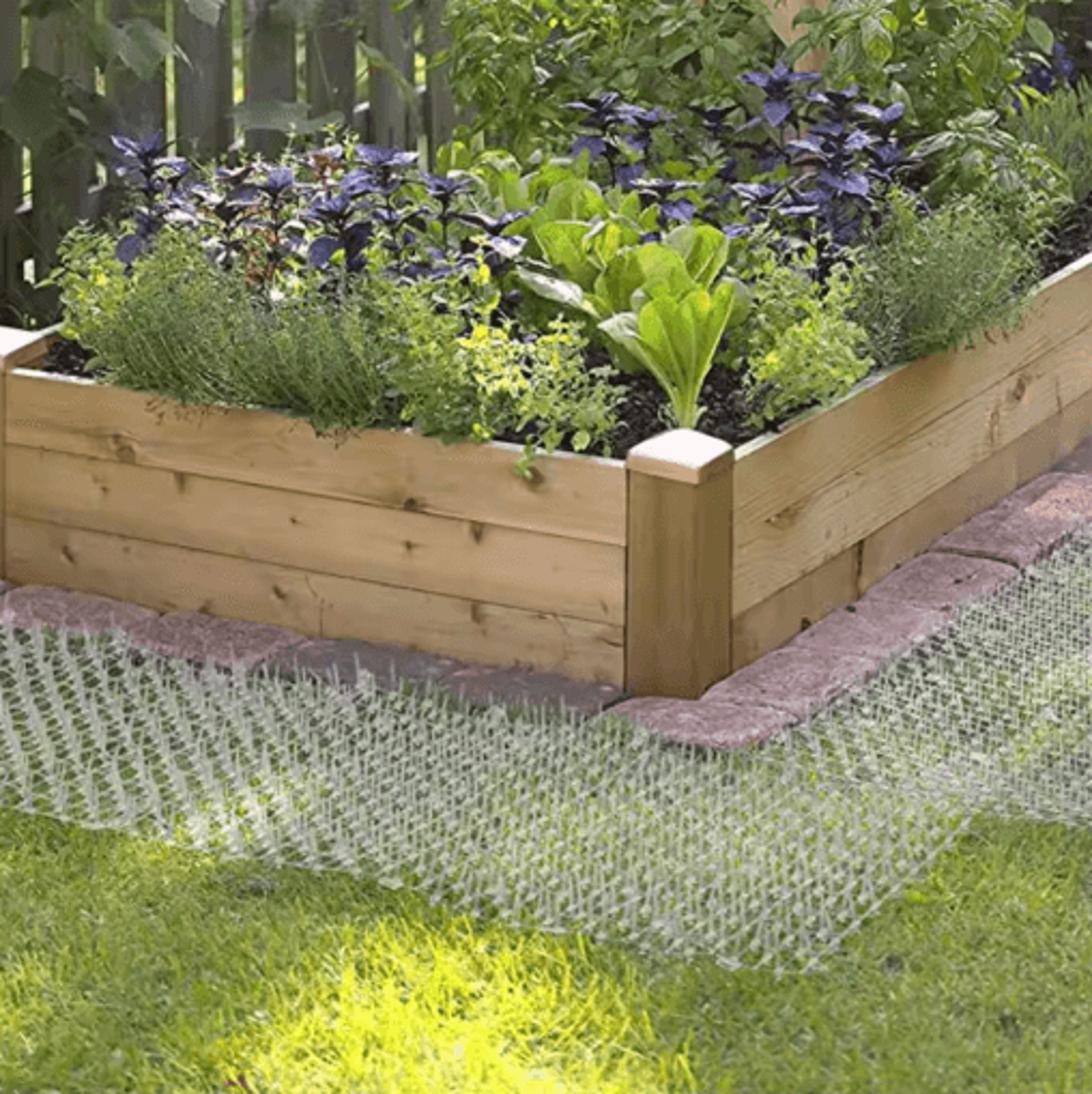 Garden Cat Scat Mat Spike Deterrent For Pets And Garden Protection 4