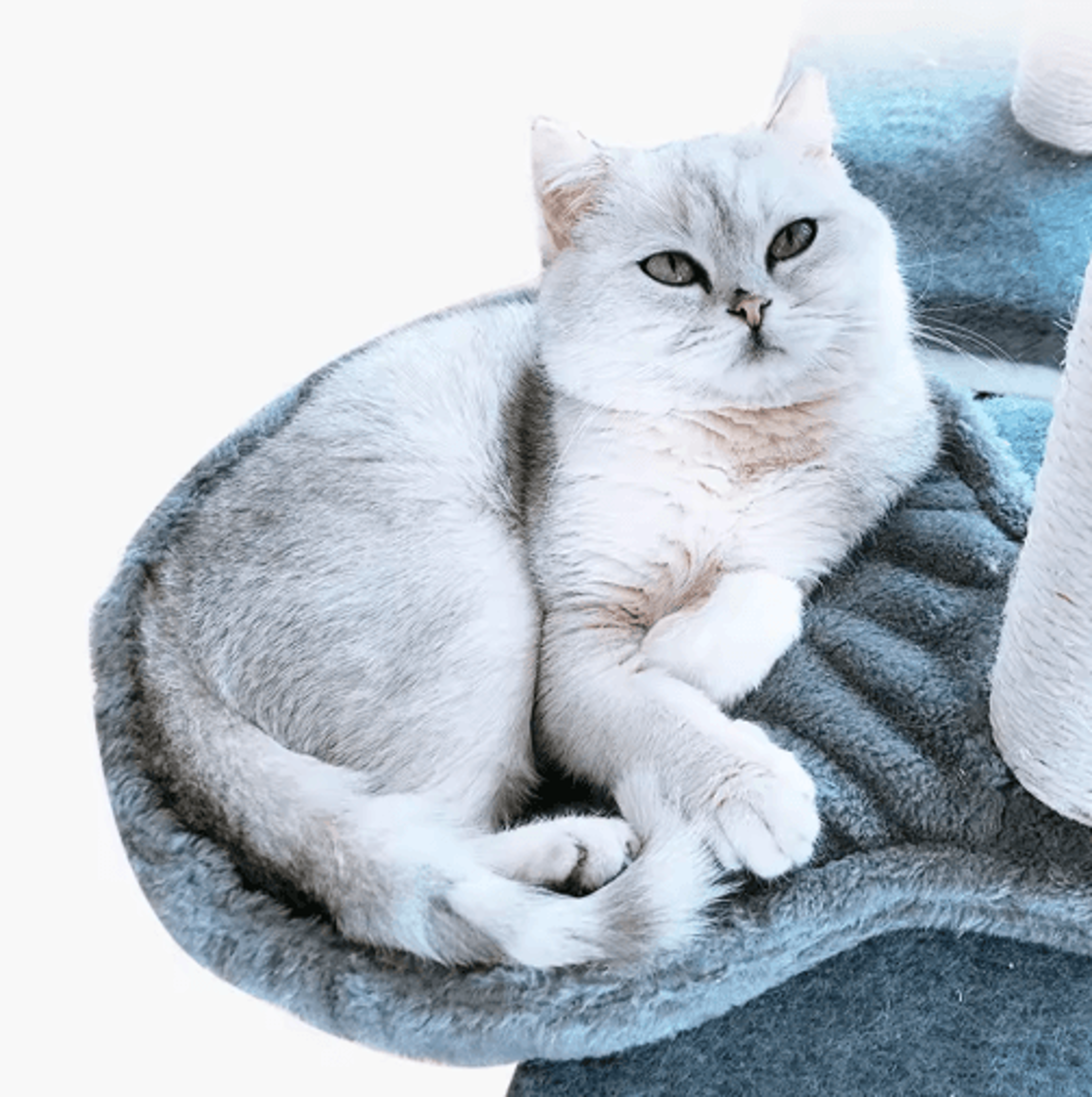 Plush Hanging Cat Hammock Bed For Cat Trees And Climbing Frames 7