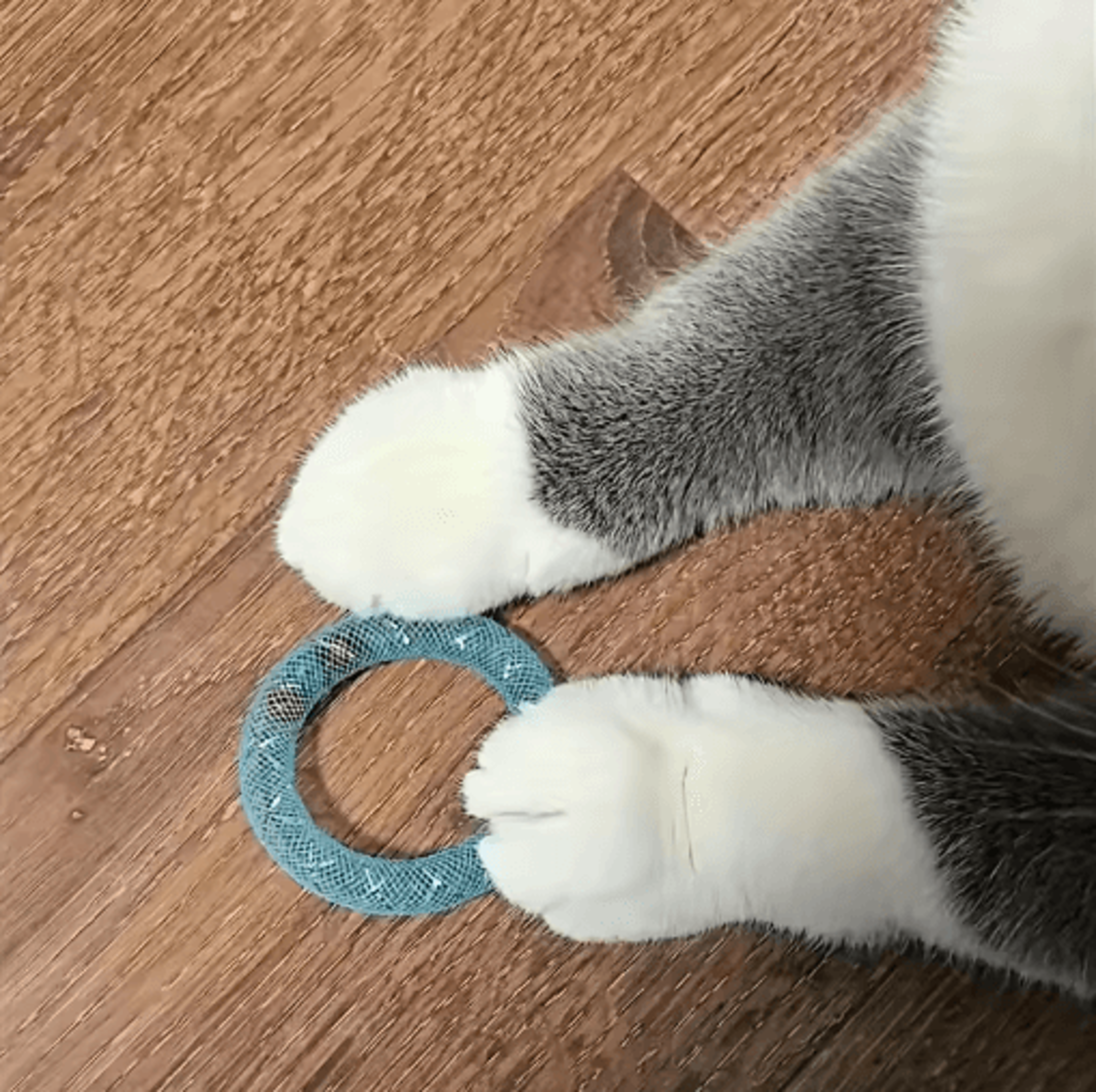 DonutShaped Cat Spring Toy With Bell For Interactive Bouncing Fun 8