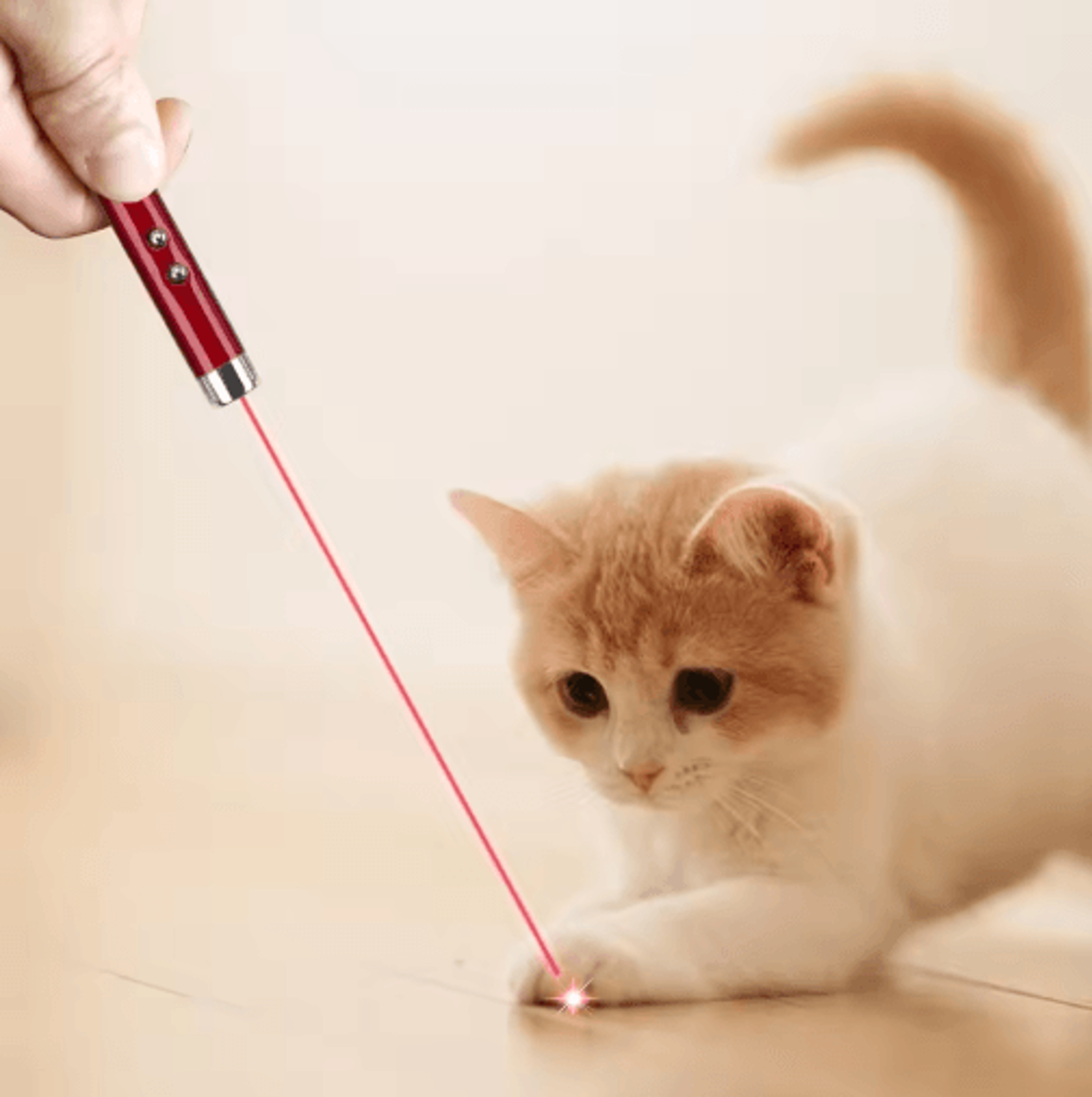 Interactive Laser Pointer Toy For Cats Kittens  Indoor Exercise 8