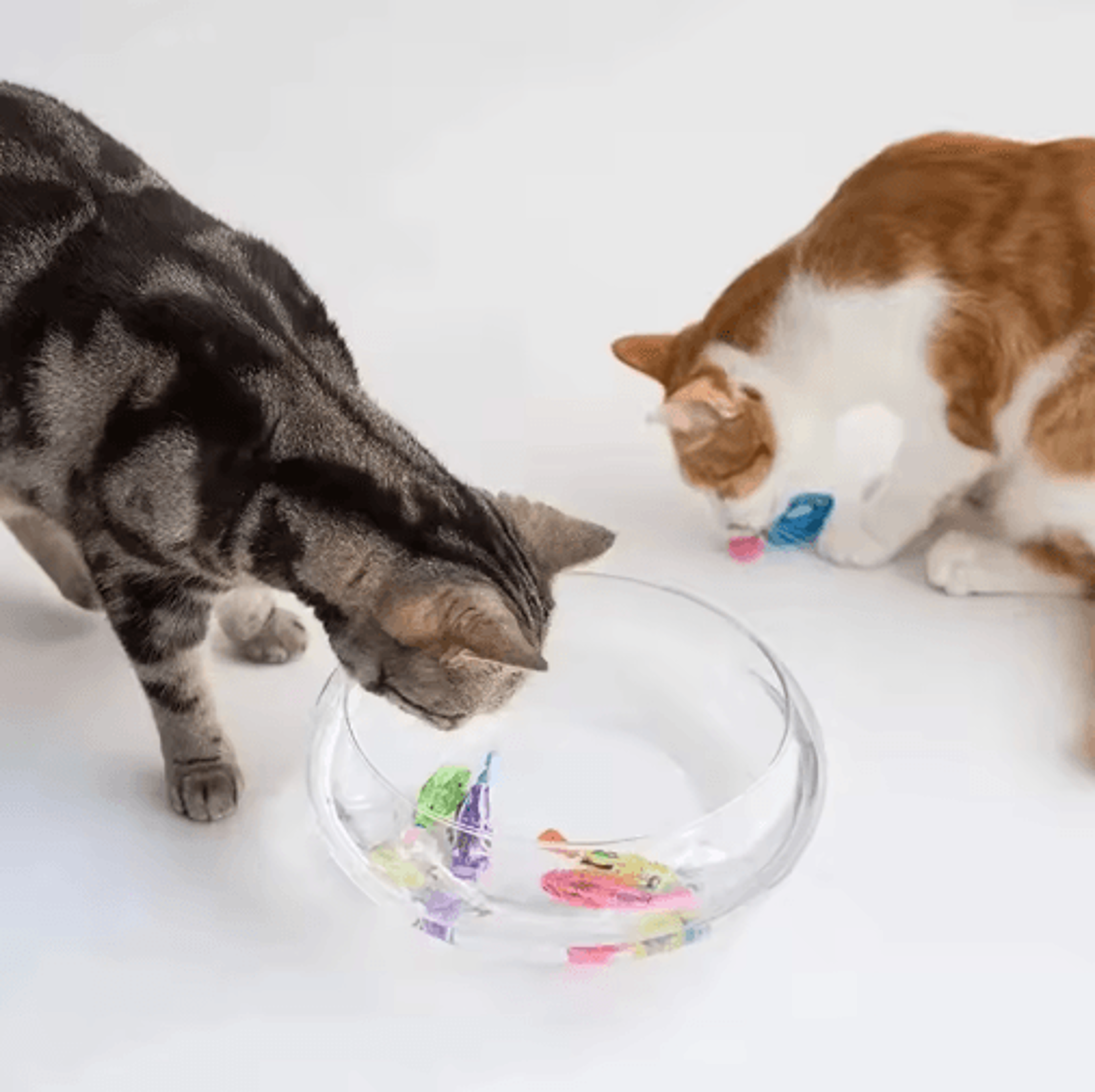 LED Interactive Swimming Robot Fish Toy For Cats 8