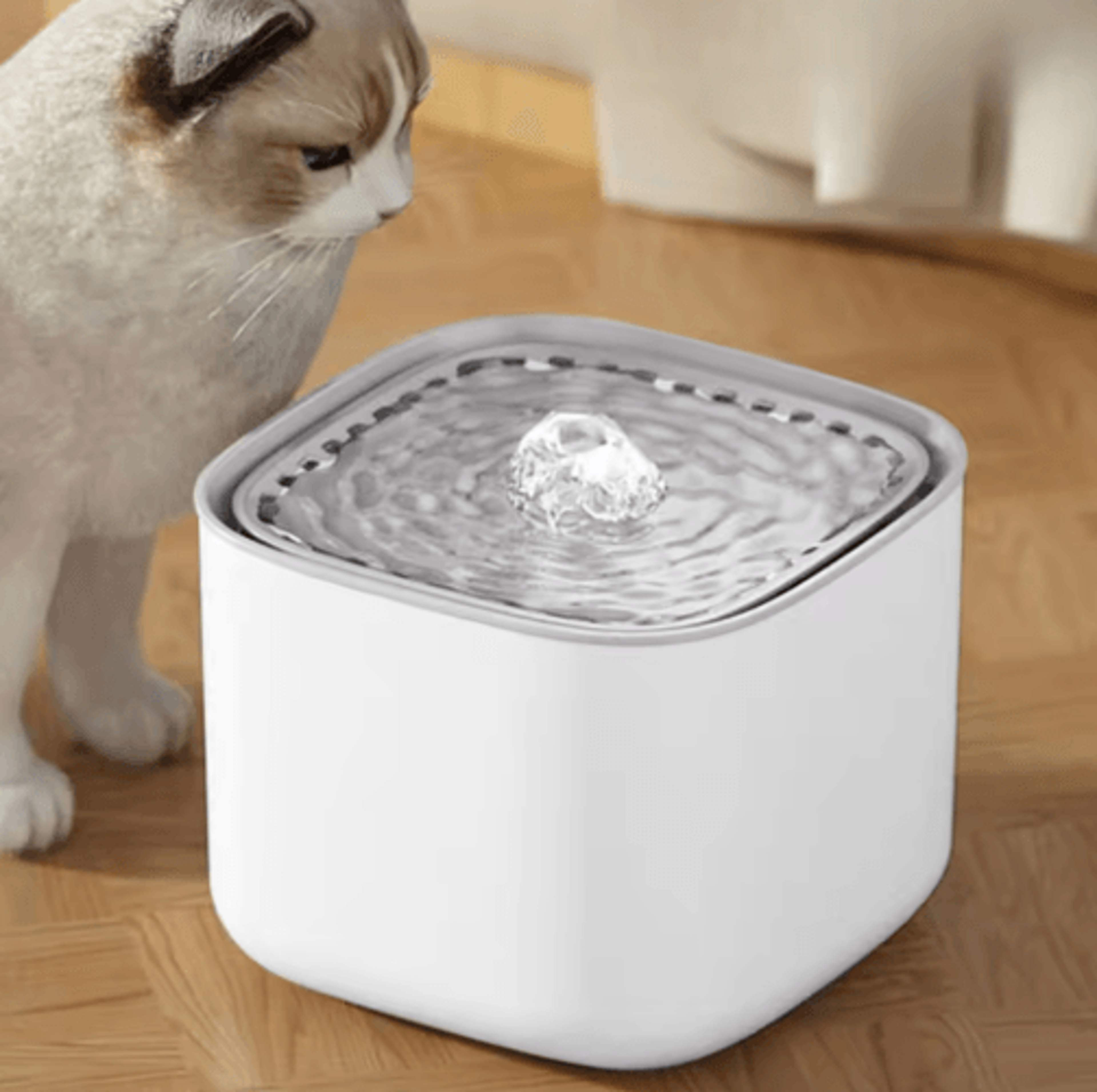3l automatic cat water fountain with recirculating filtration system