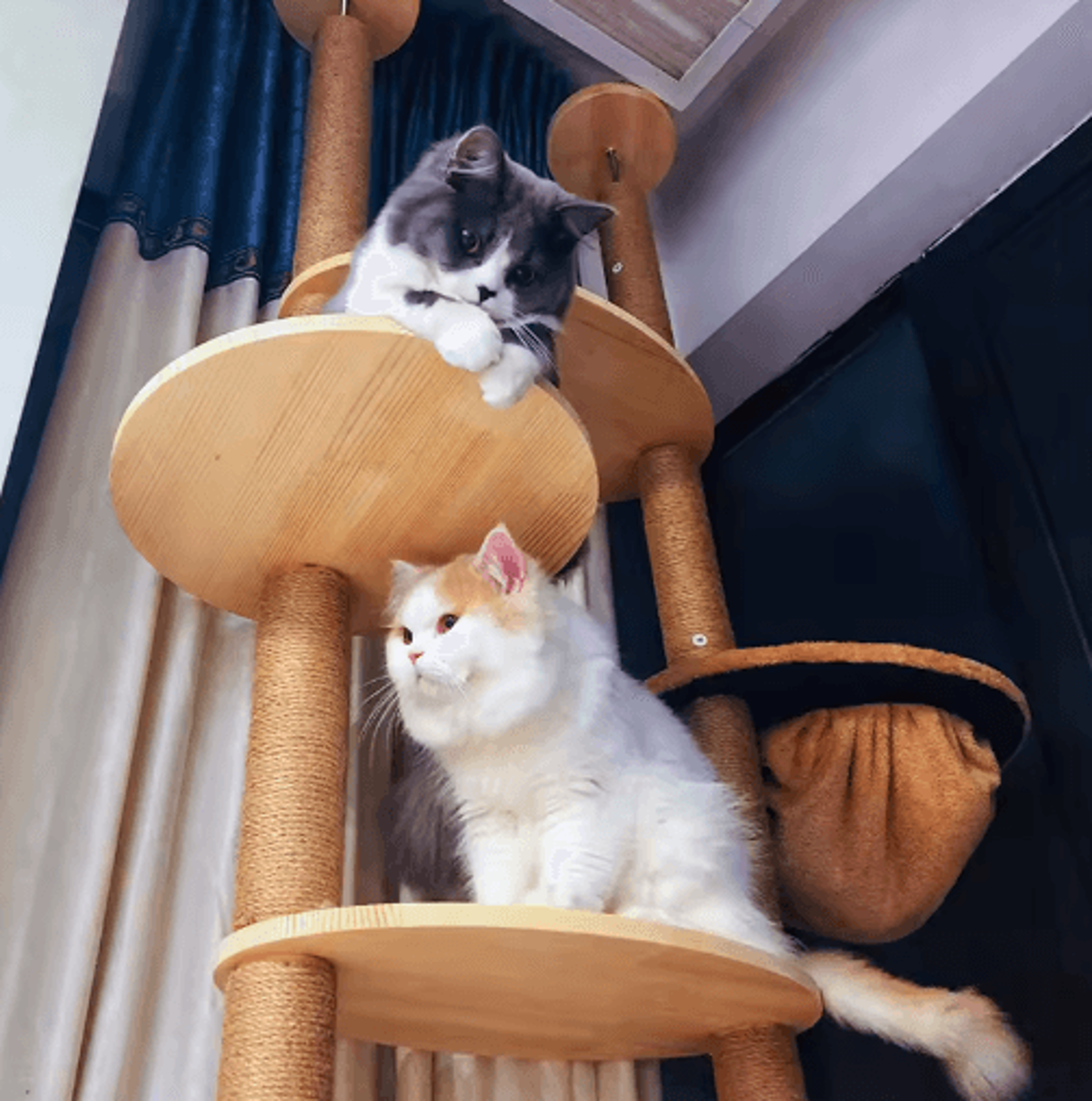 DIY PVC Cat Scratching Post Replacement With Natural Sisal Rope 15