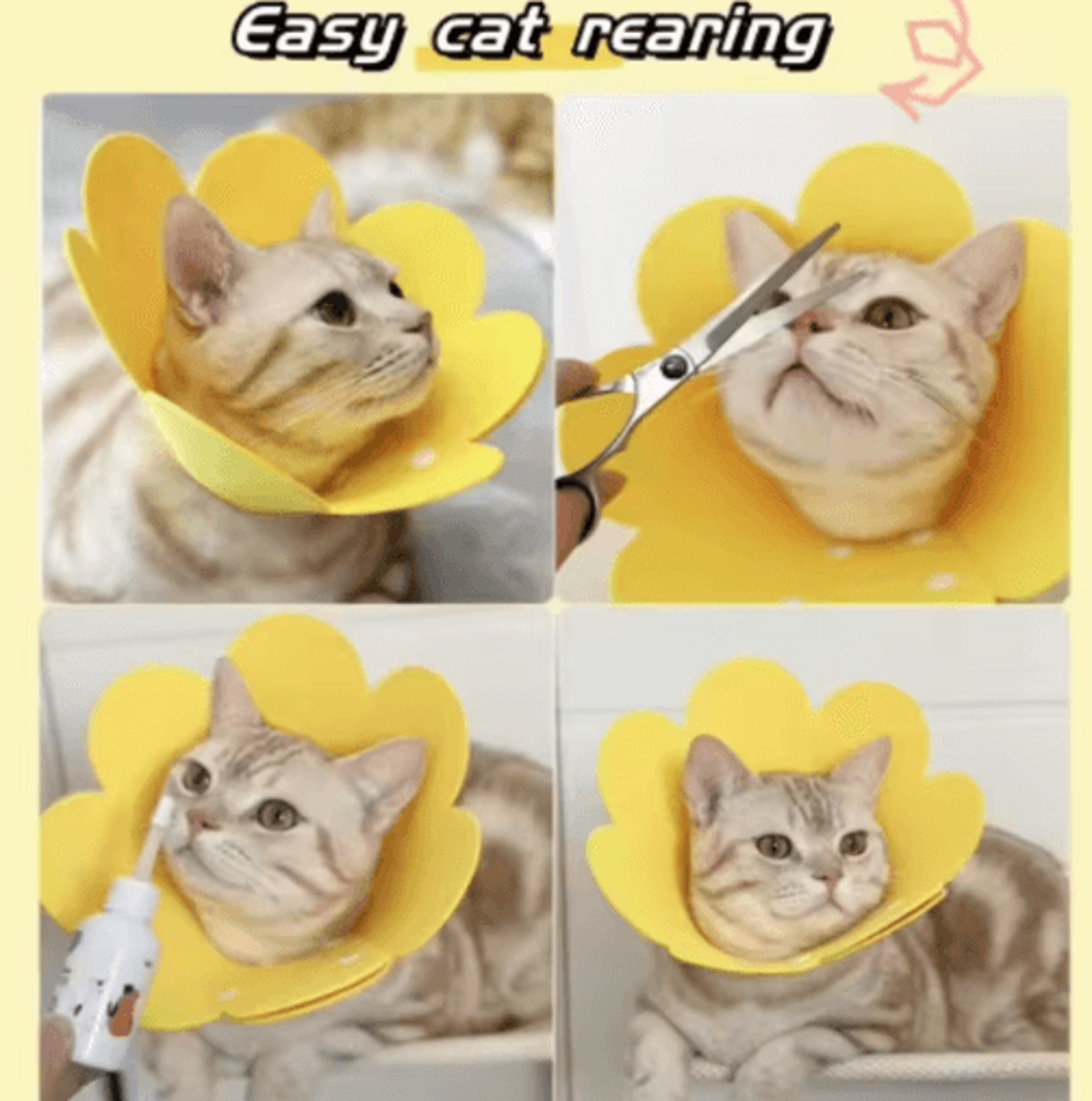 Flower Recovery Collar For Cats  Dogs  Adjustable Protective Healing Cone 2