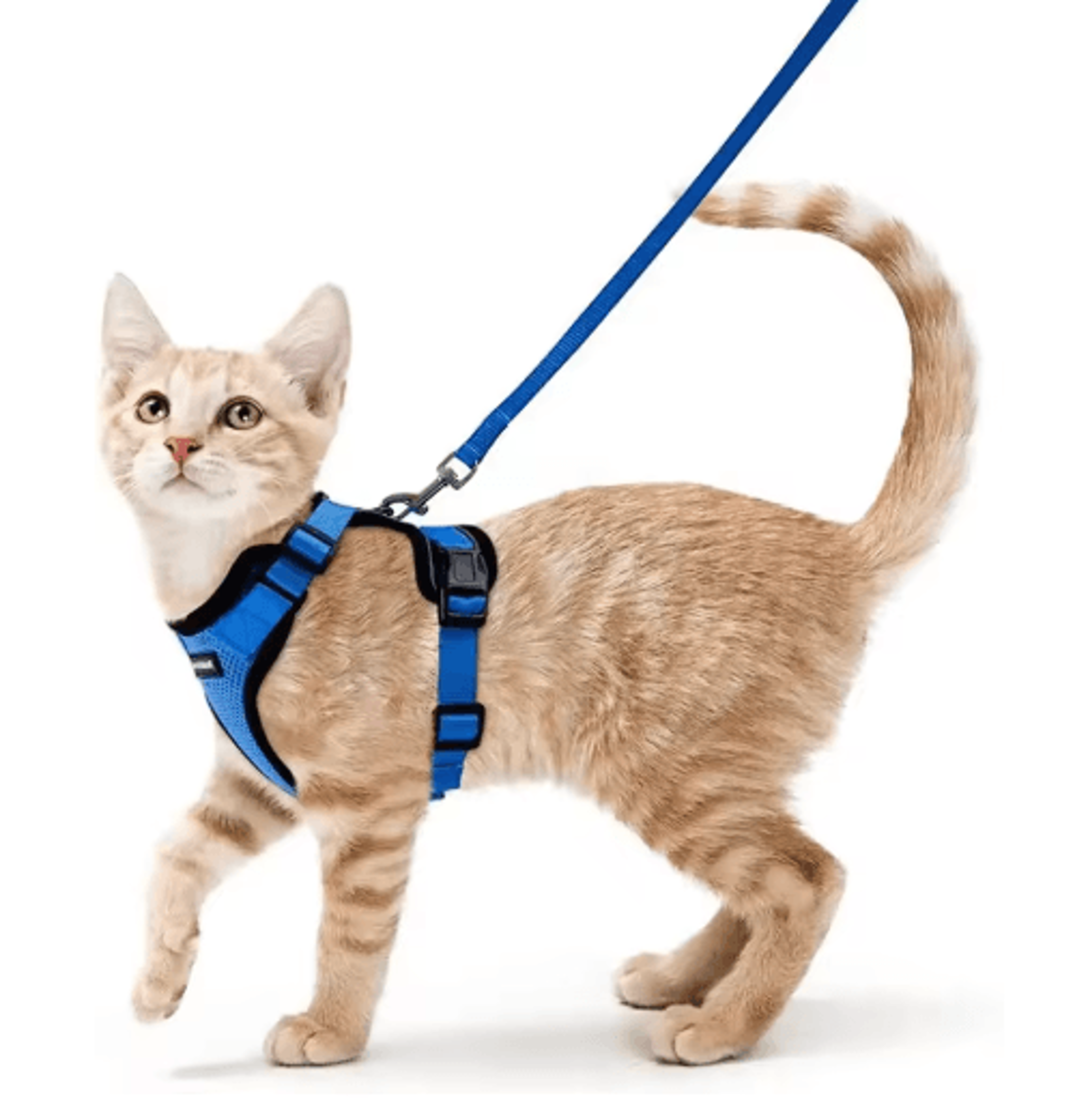 Escape Proof Cat Harness And Leash Set  Adjustable Reflective Walking Vest 3
