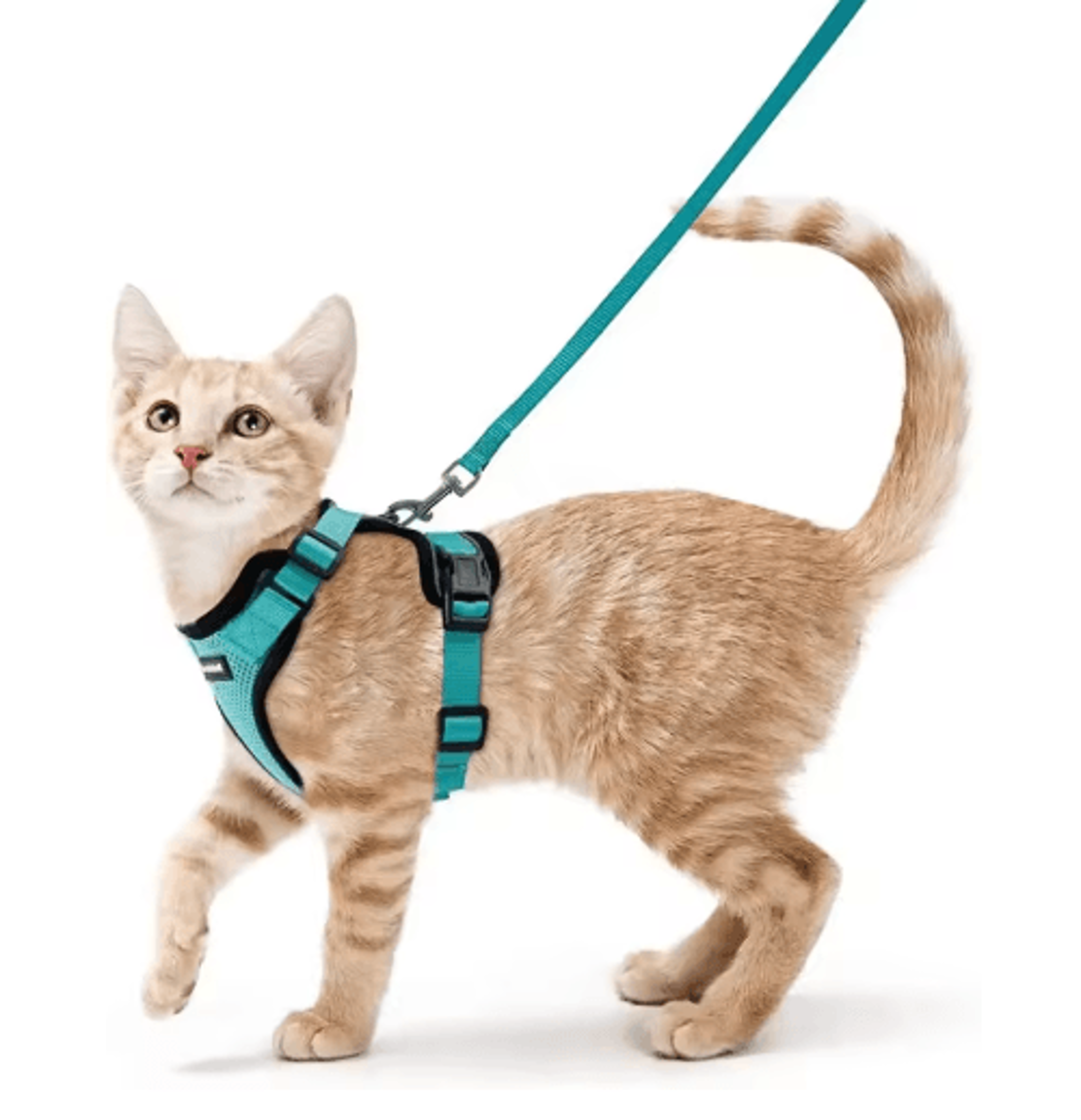 Escape Proof Cat Harness And Leash Set  Adjustable Reflective Walking Vest 5