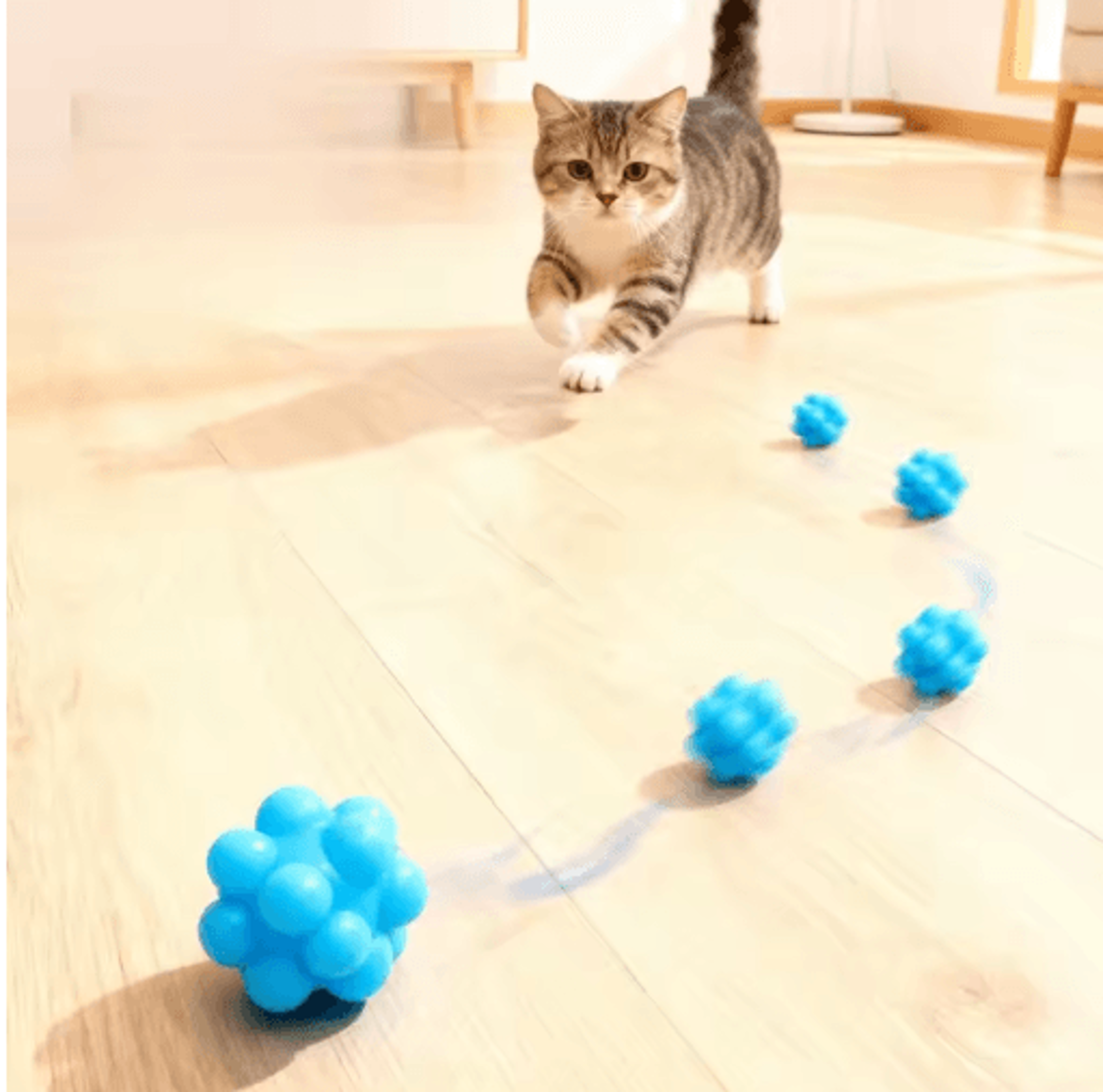 HighBounce Cat Chew Ball  Interactive BiteResistant Toy For Teeth Cleaning  Play 5