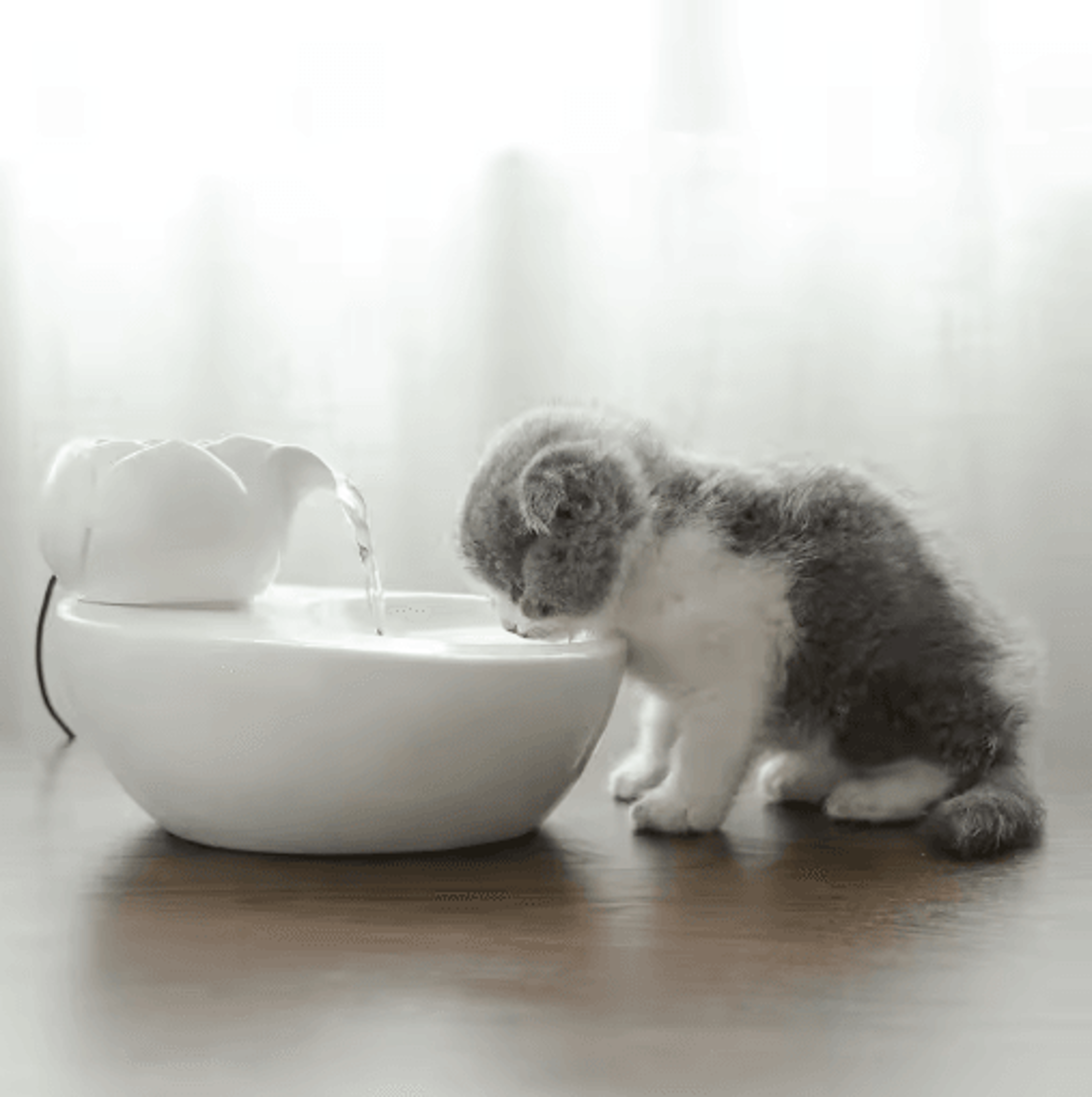 Ceramic Pet Water Fountain  USBPowered Automatic Drinking Fountain For Cats  Small Pets 8