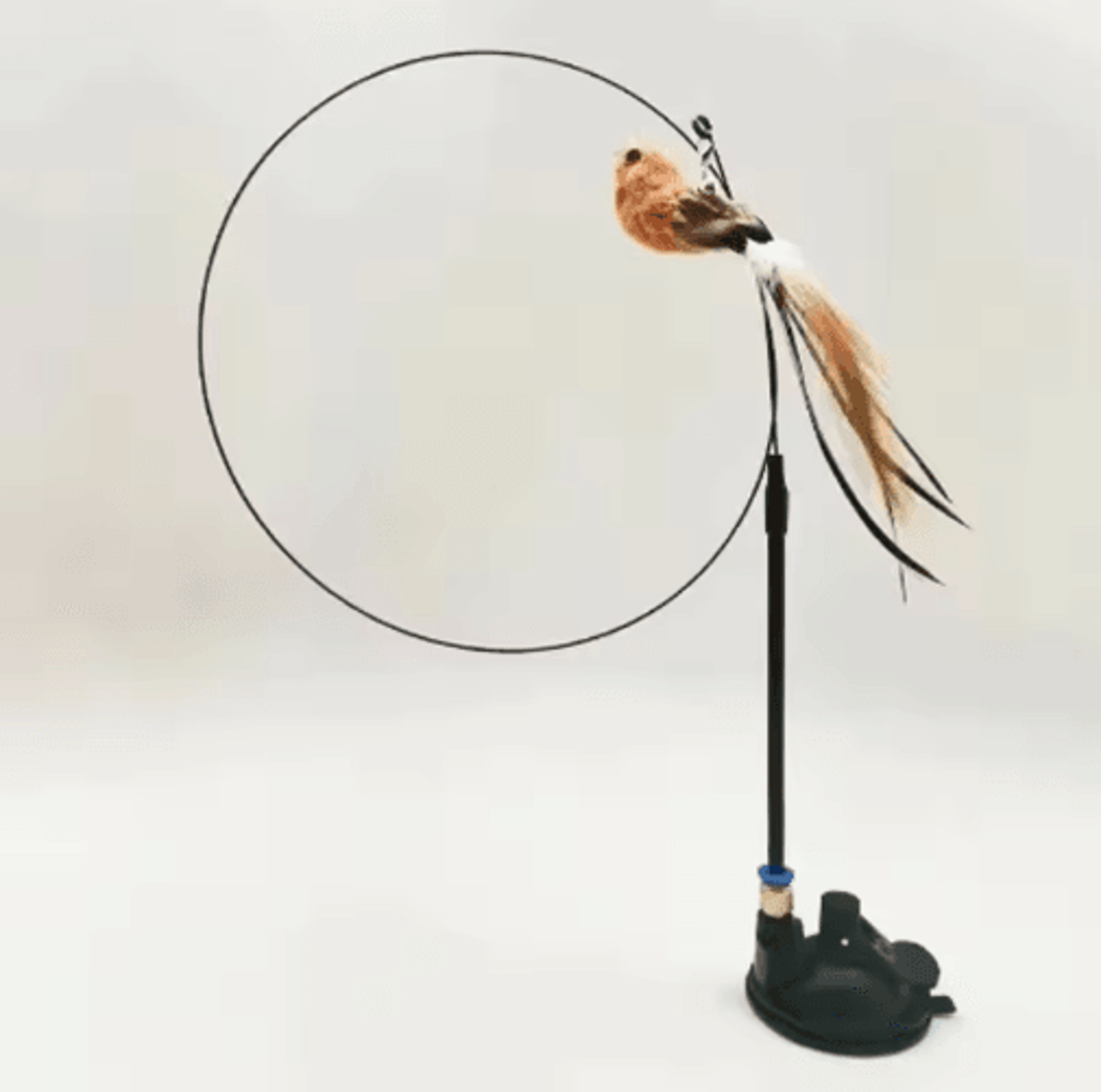 Interactive Feather Cat Teaser With Suction Cup  SelfPlay Wand Toy With Bell  Bird Attachment 4