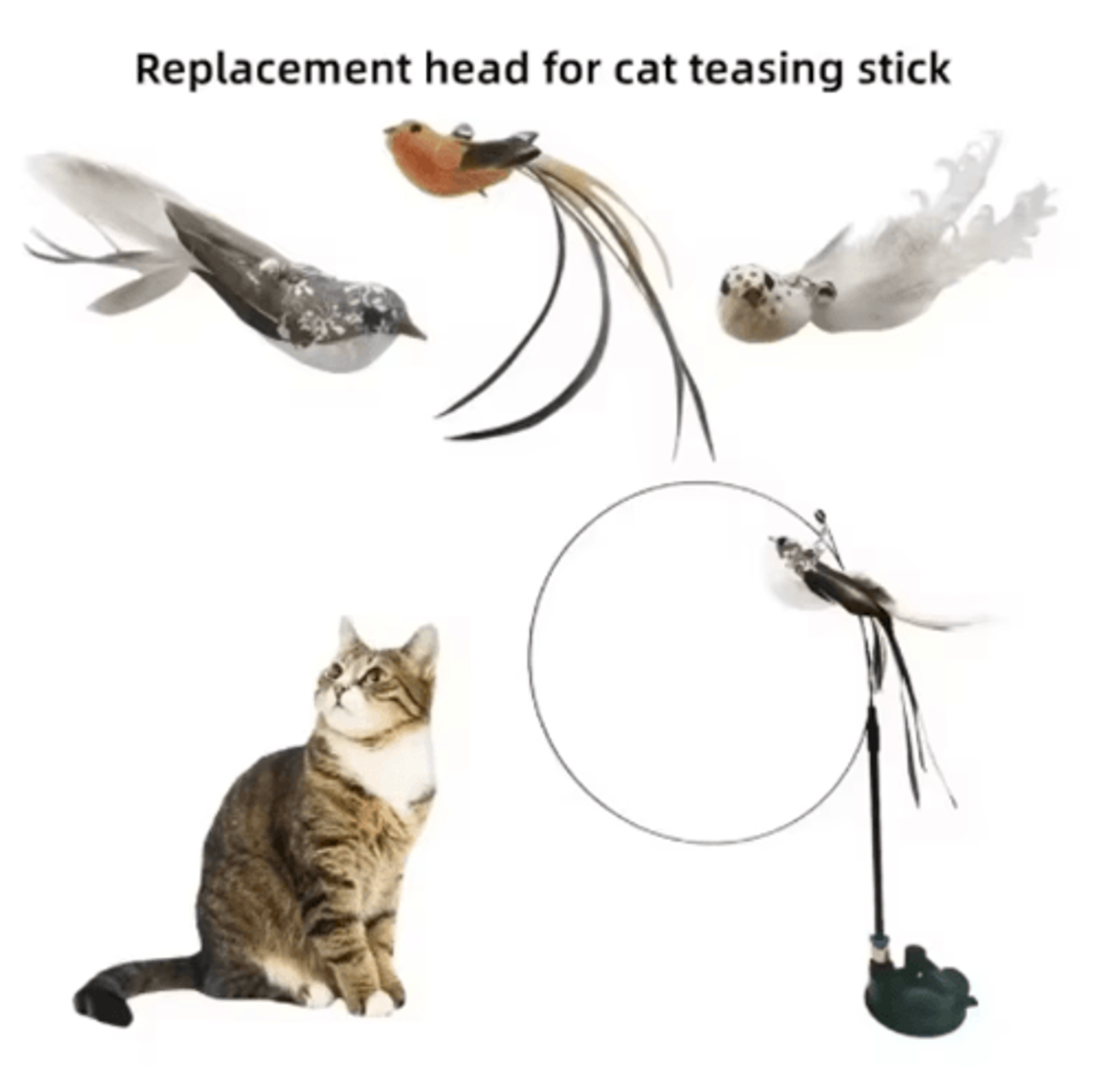 Interactive Feather Cat Teaser With Suction Cup  SelfPlay Wand Toy With Bell  Bird Attachment 5