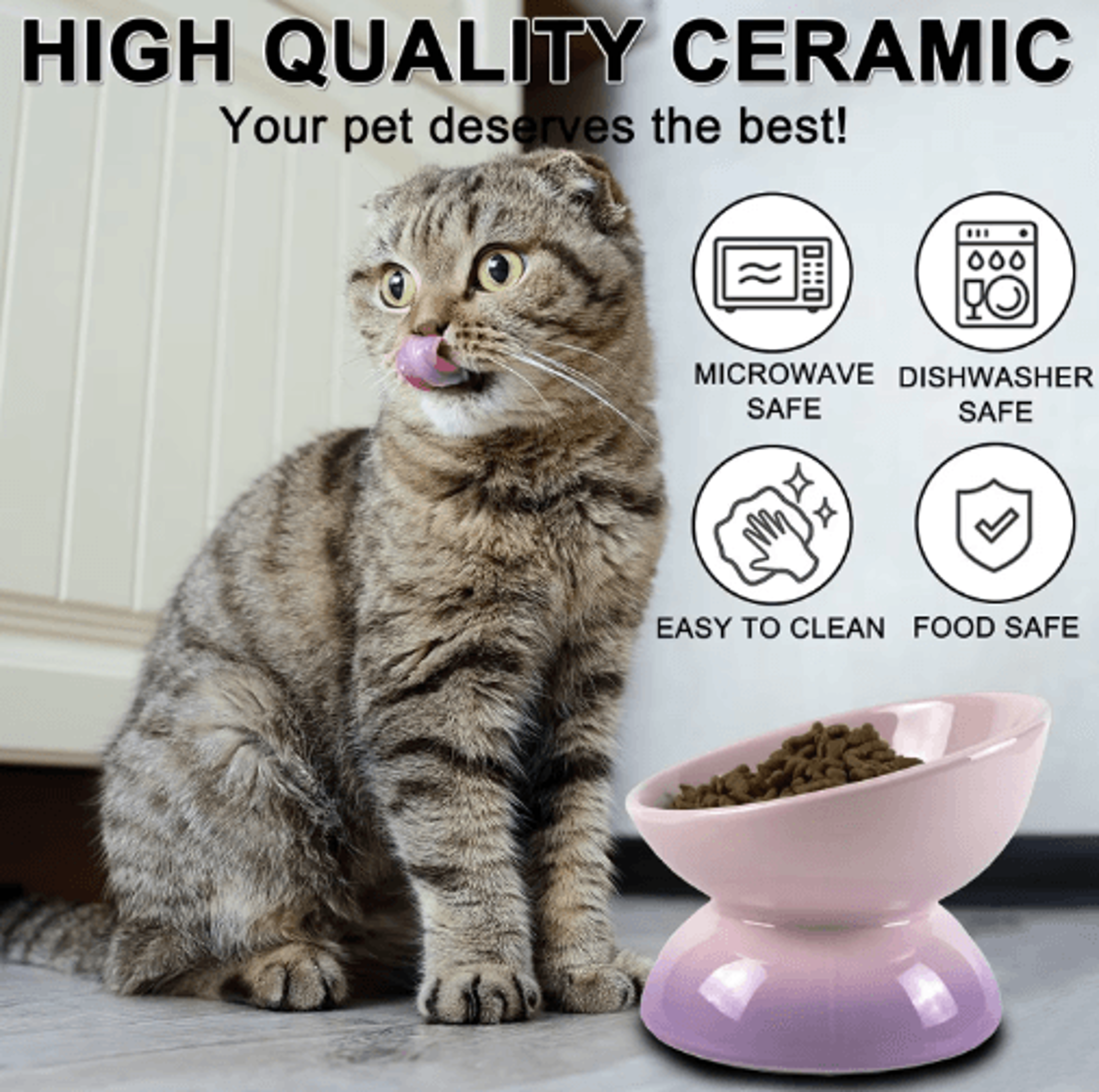 Elevated Tilted Ceramic Cat Bowl  Dishwasher  Microwave Safe Pet Feeding Dish 7