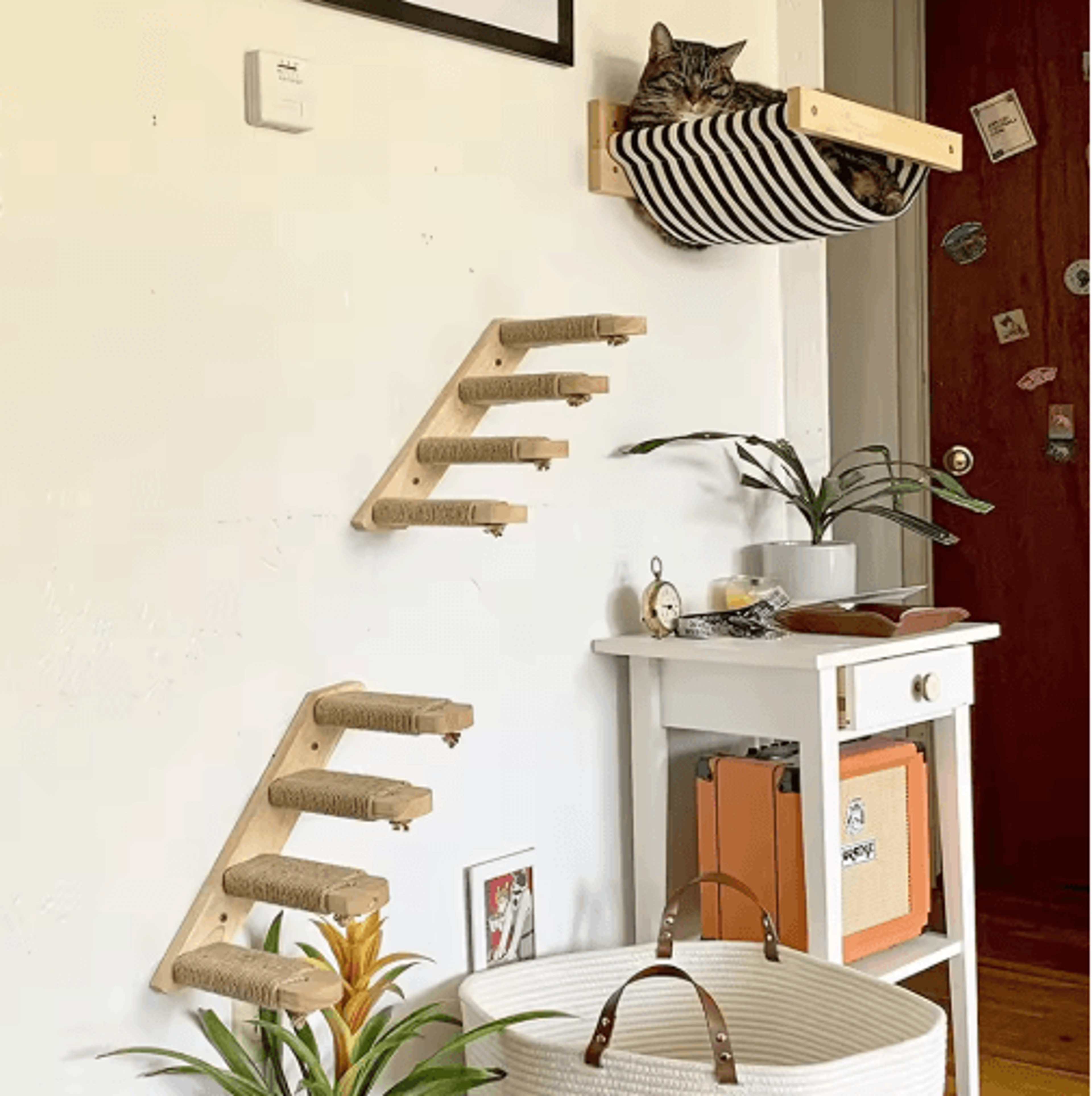 WallMounted Cat Climbing Shelf Set Cat Ladder Scratching Post  Cozy Hideaway House 18