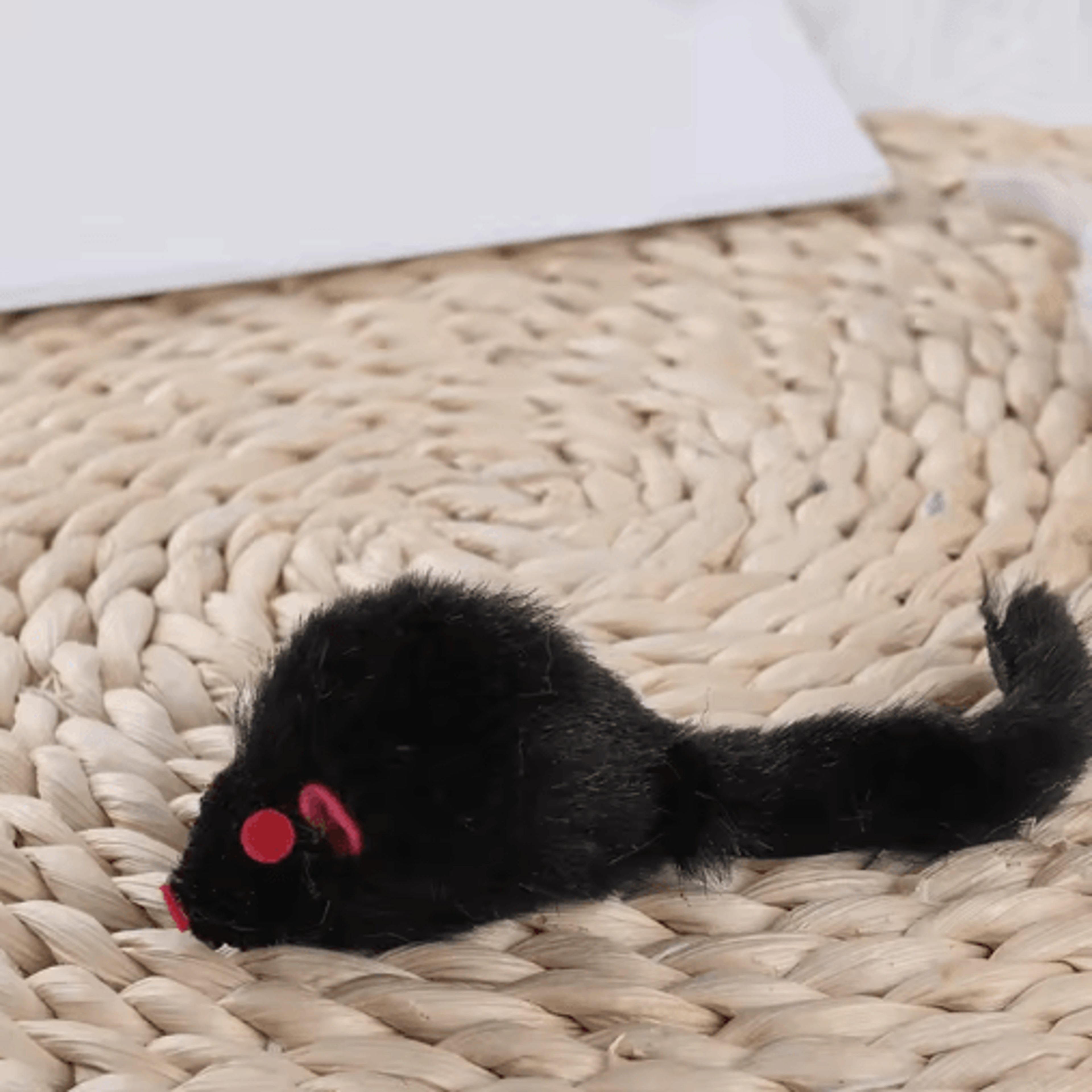 Plush Rattle Mouse Cat Toy Interactive Catch  Chase Toy For Indoor Cats 6