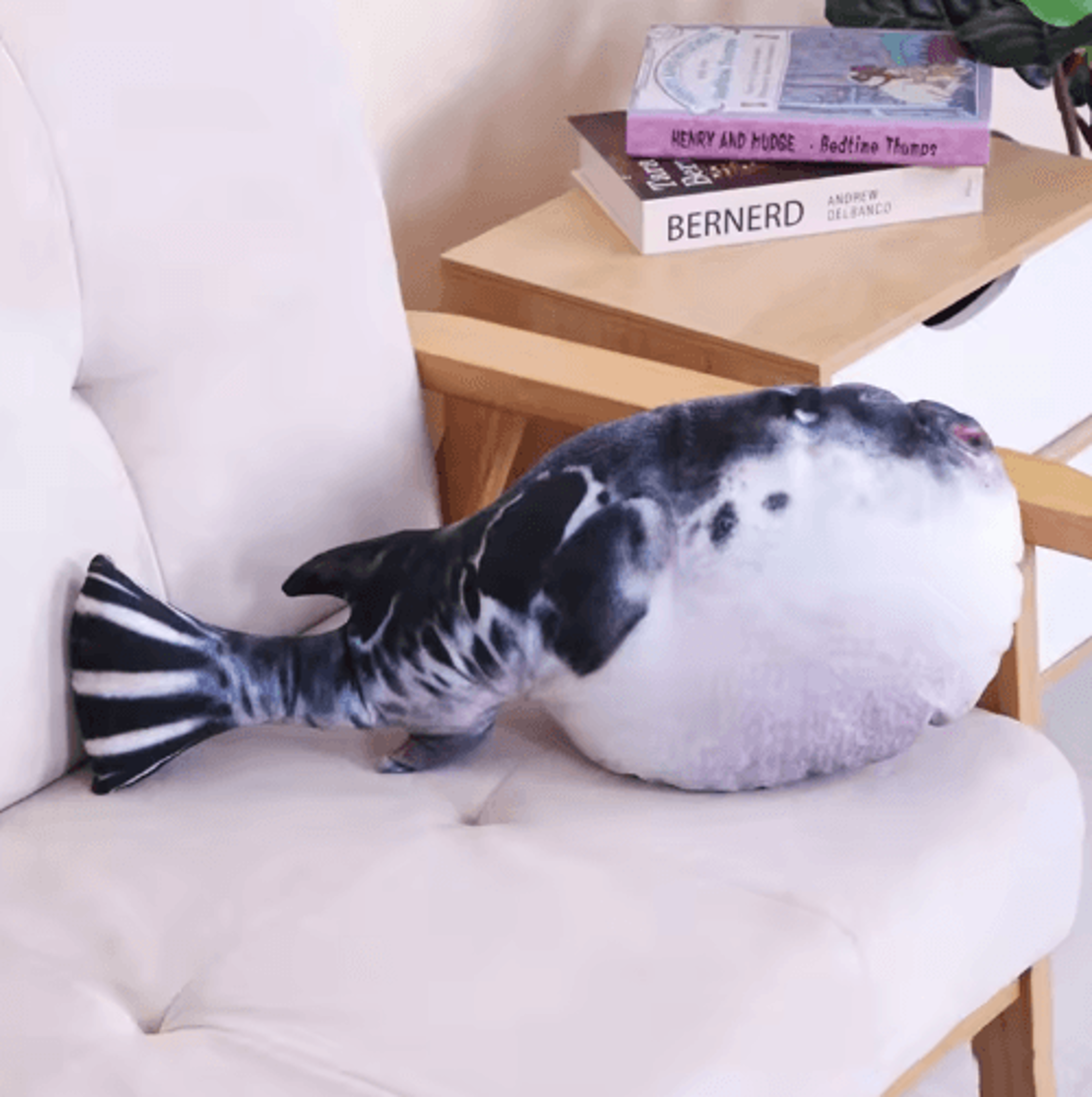 Plush Catnip Fish Toy  Interactive Teeth Cleaning  Kicking Toy For Cats 2