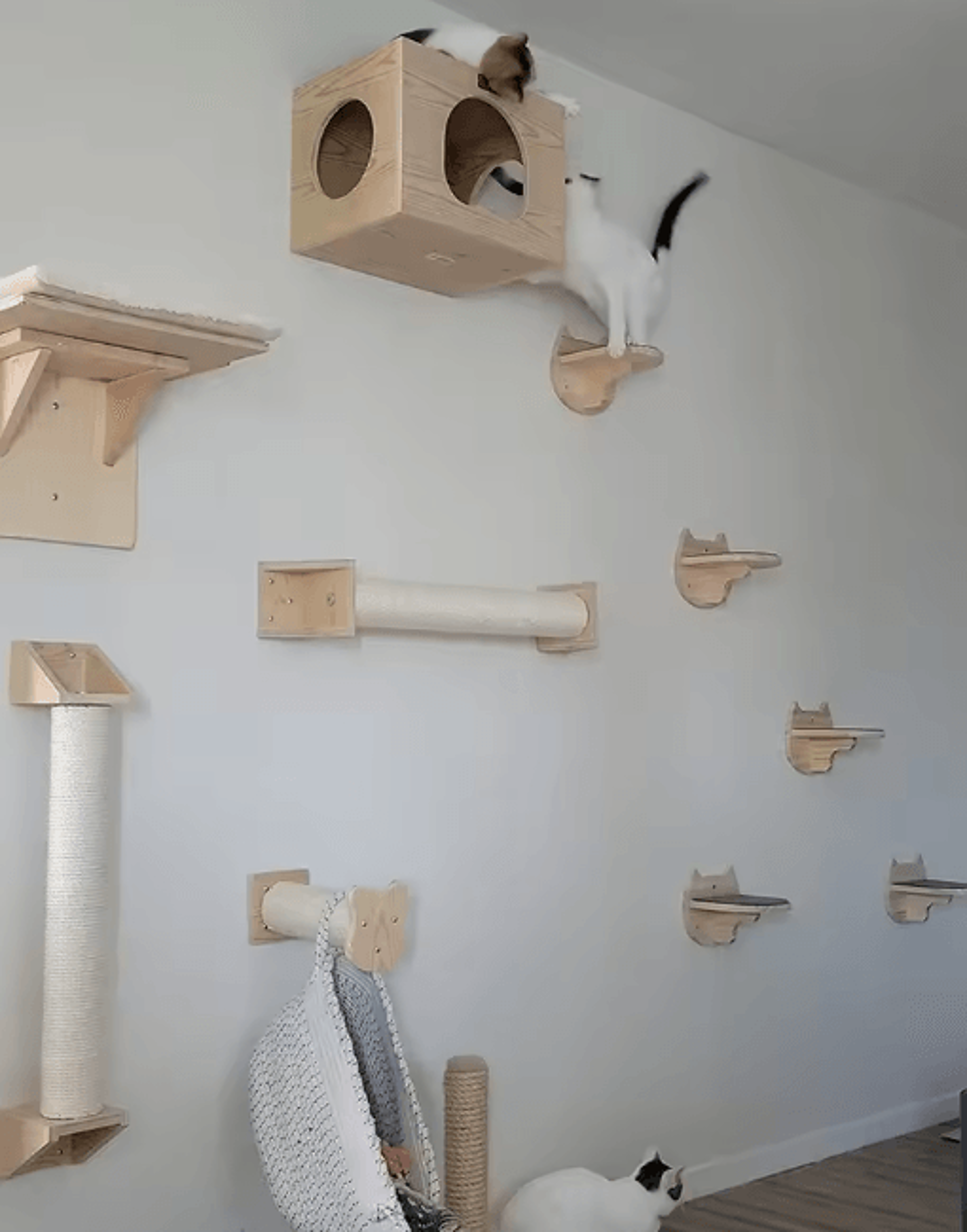 WallMounted Cat Climbing Shelves  Steps  Sisal Scratching Stairway For Cats 16