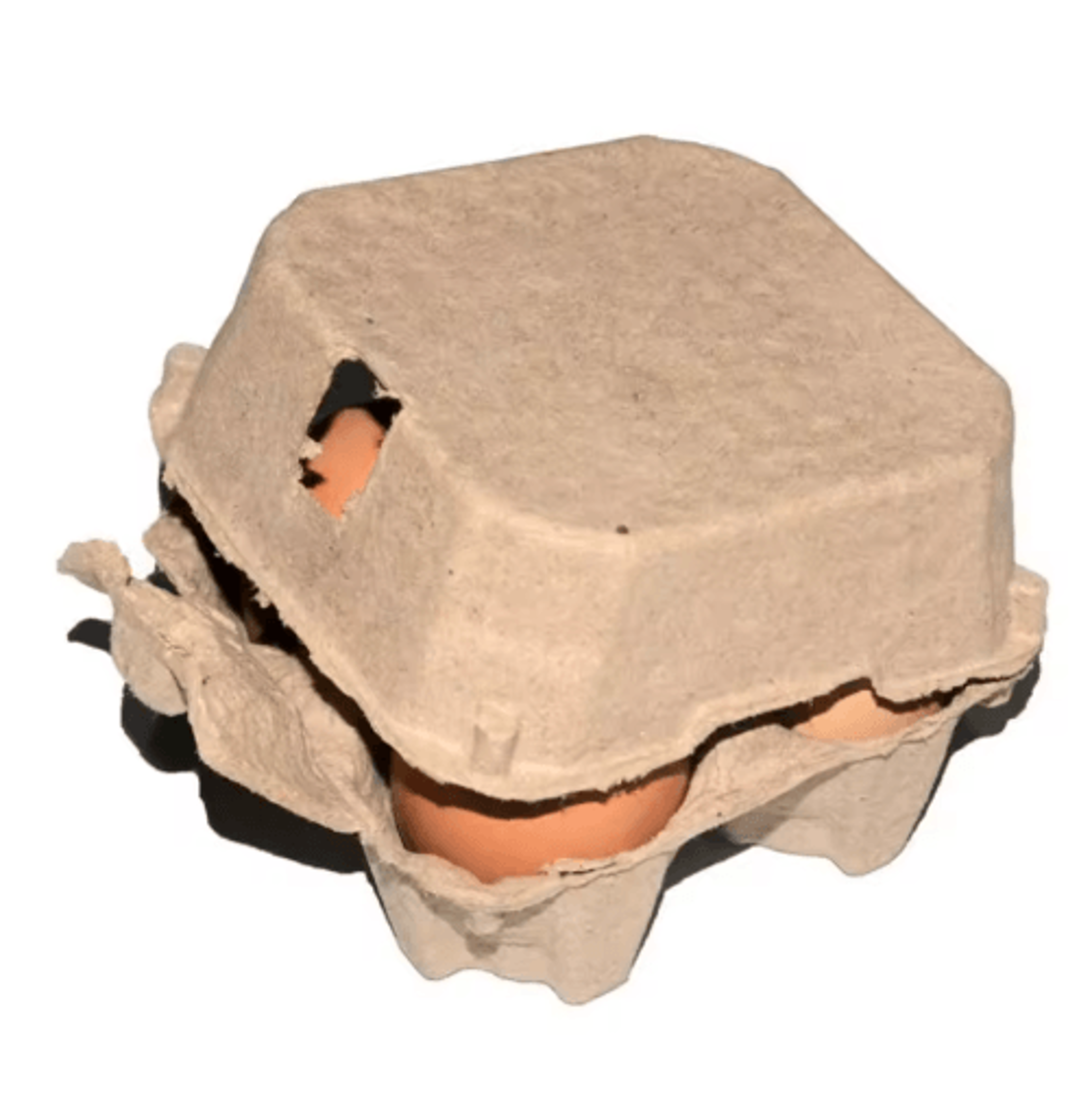 Kraft Pulp Egg Cartons  Refrigerator Egg Storage Trays For Safe Egg Organization 5
