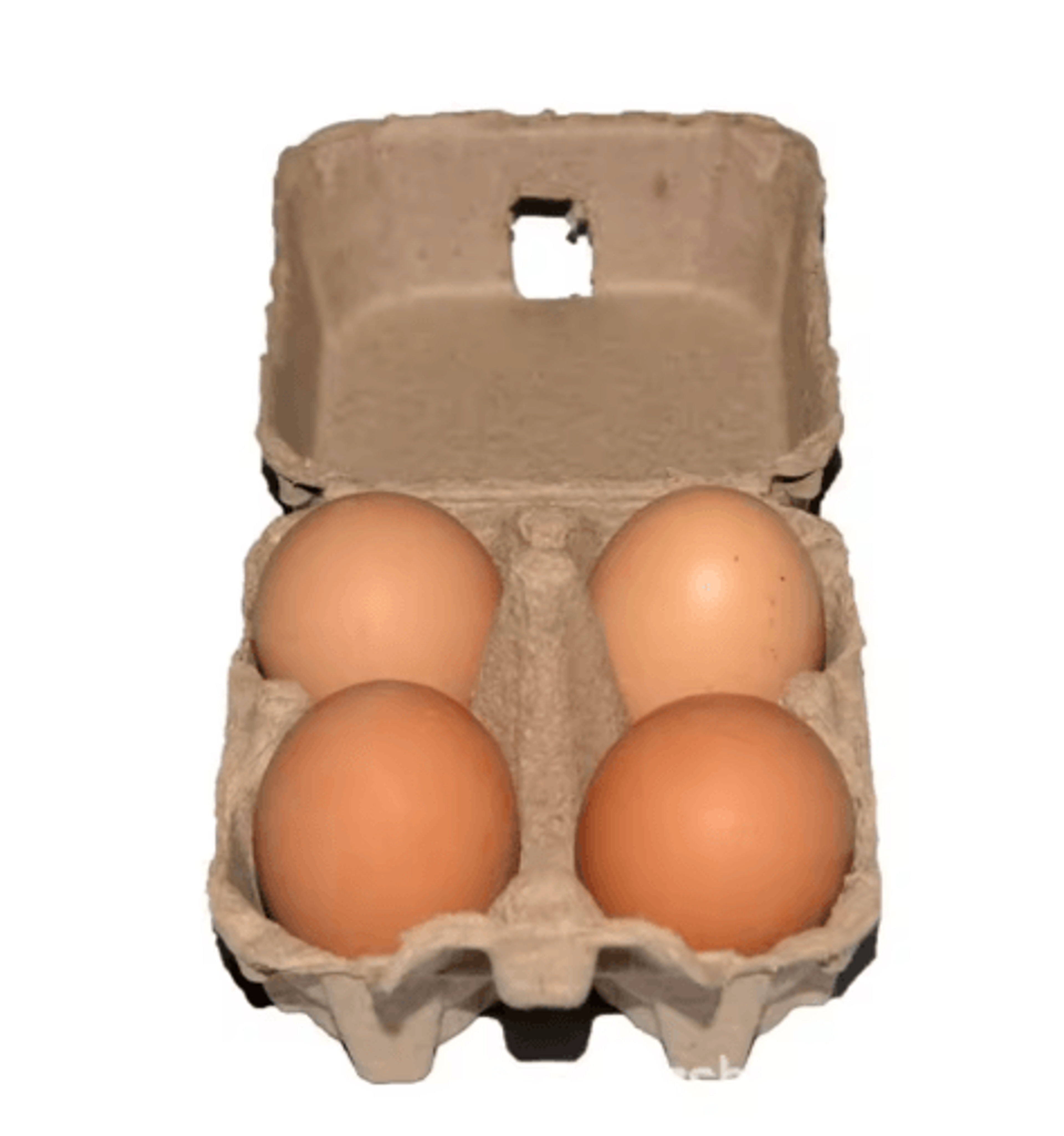 Kraft Pulp Egg Cartons  Refrigerator Egg Storage Trays For Safe Egg Organization 0