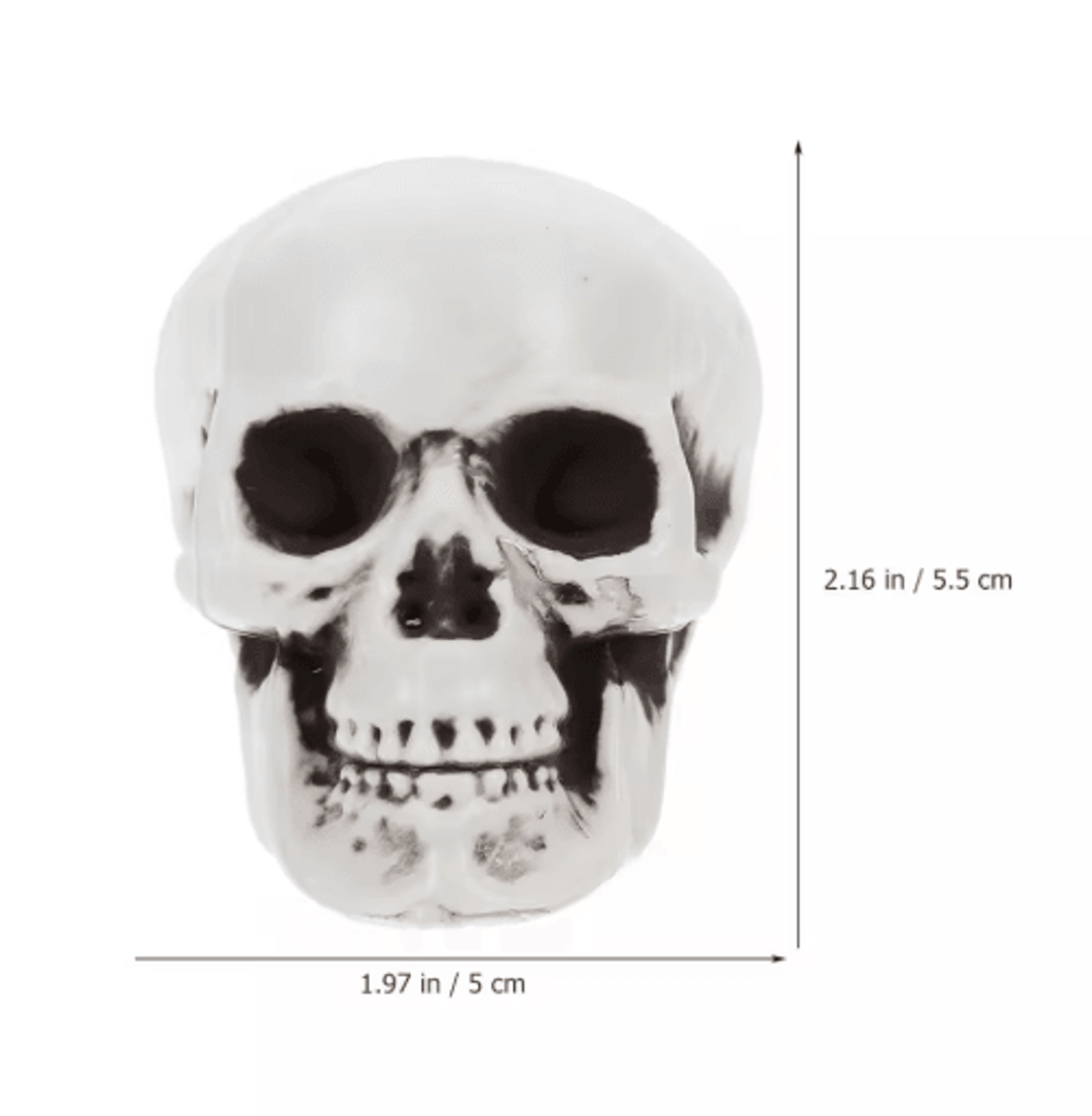 10PCS Mini Skeleton Skull Heads  Halloween Table Decorations  Scary Party Props 2