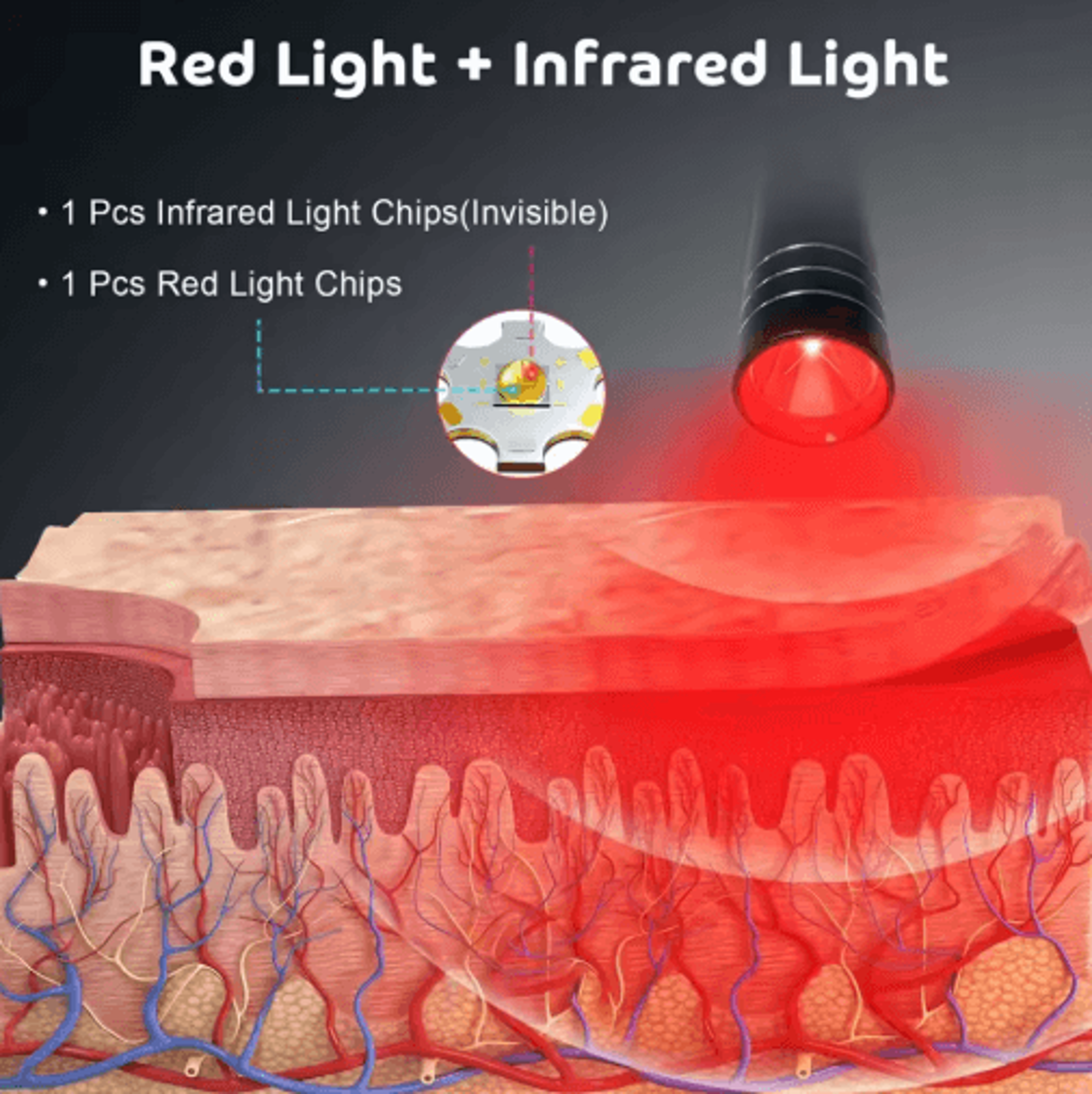 Professional Red  Blue LED Therapy Flashlight  Portable Light Therapy Device 5