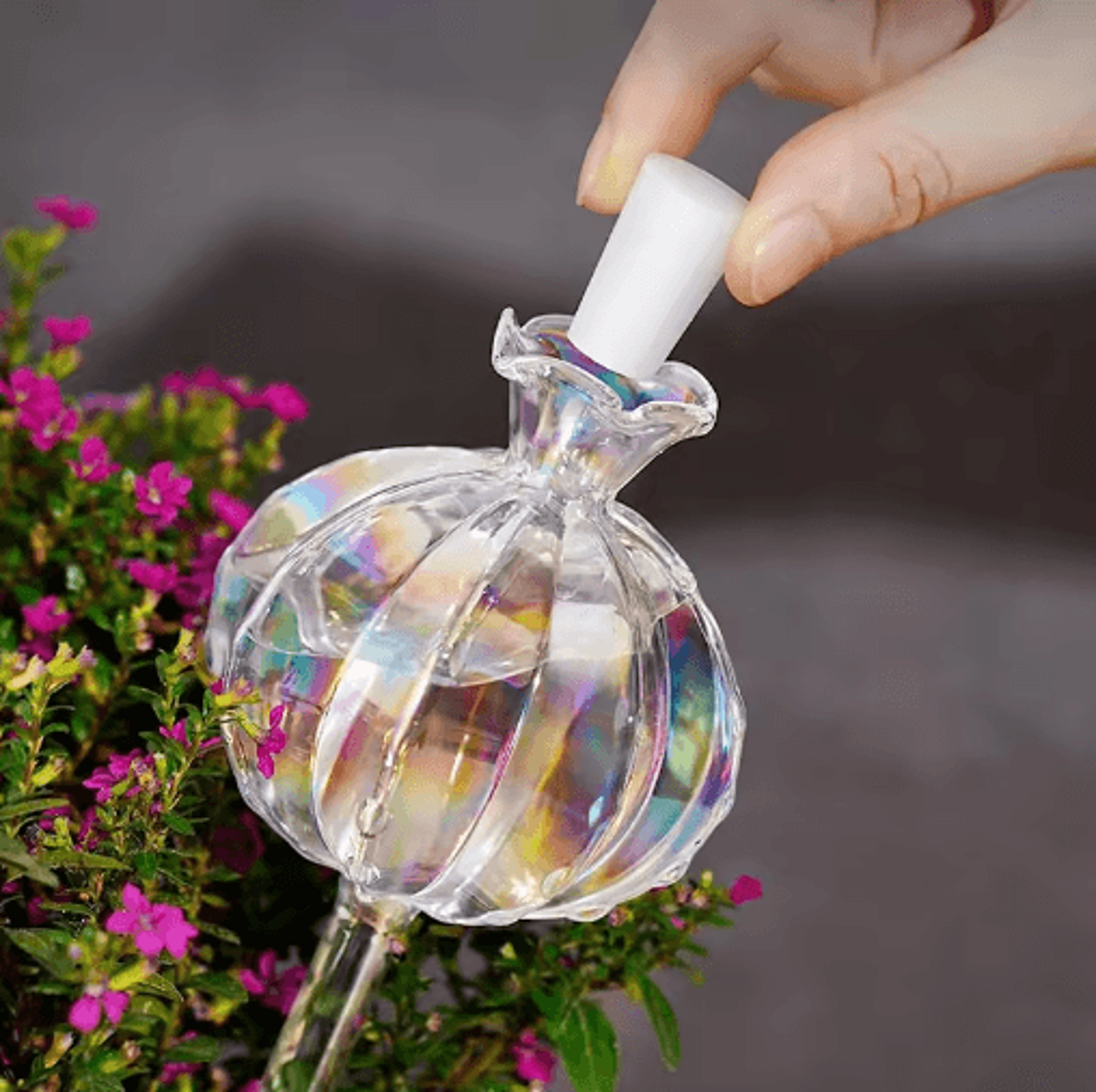 Glass Automatic Plant Watering Bulbs  SelfWatering Drip Irrigation Globes For Indoor  Outdoor Plant 8