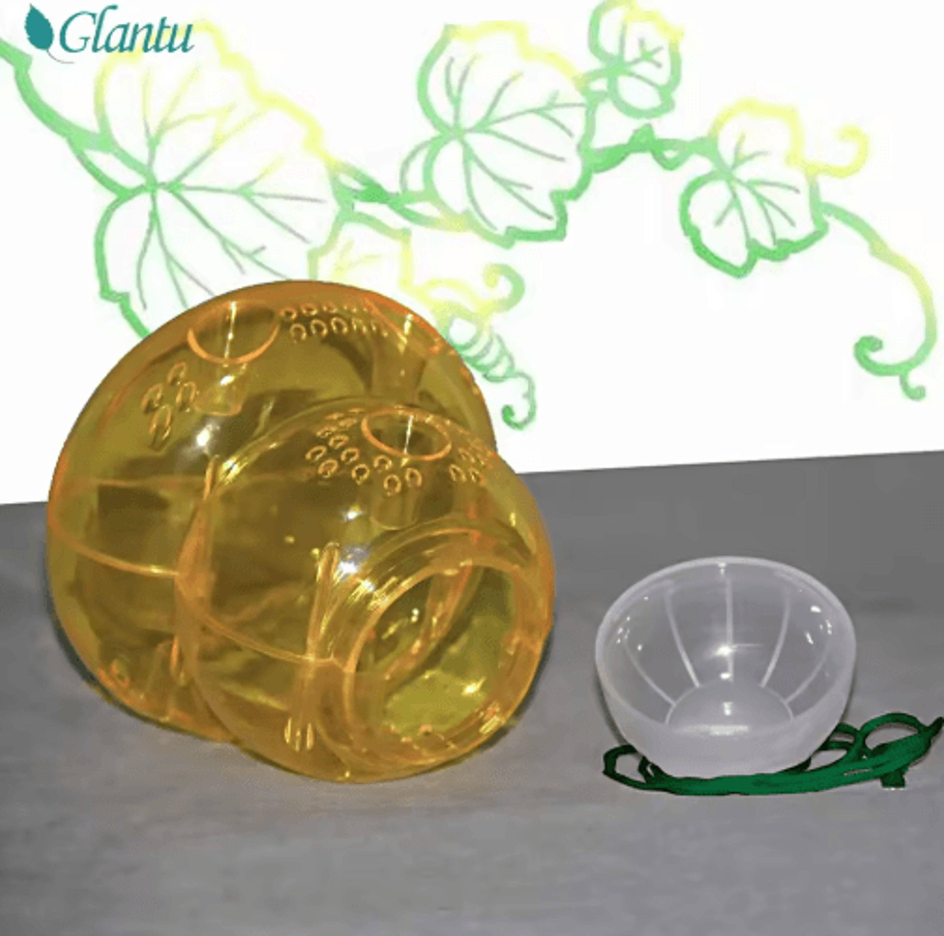 Reusable Outdoor Wasp Trap  NonToxic MultiHole Bee  Wasp Catcher For Garden Farm  Yard 2