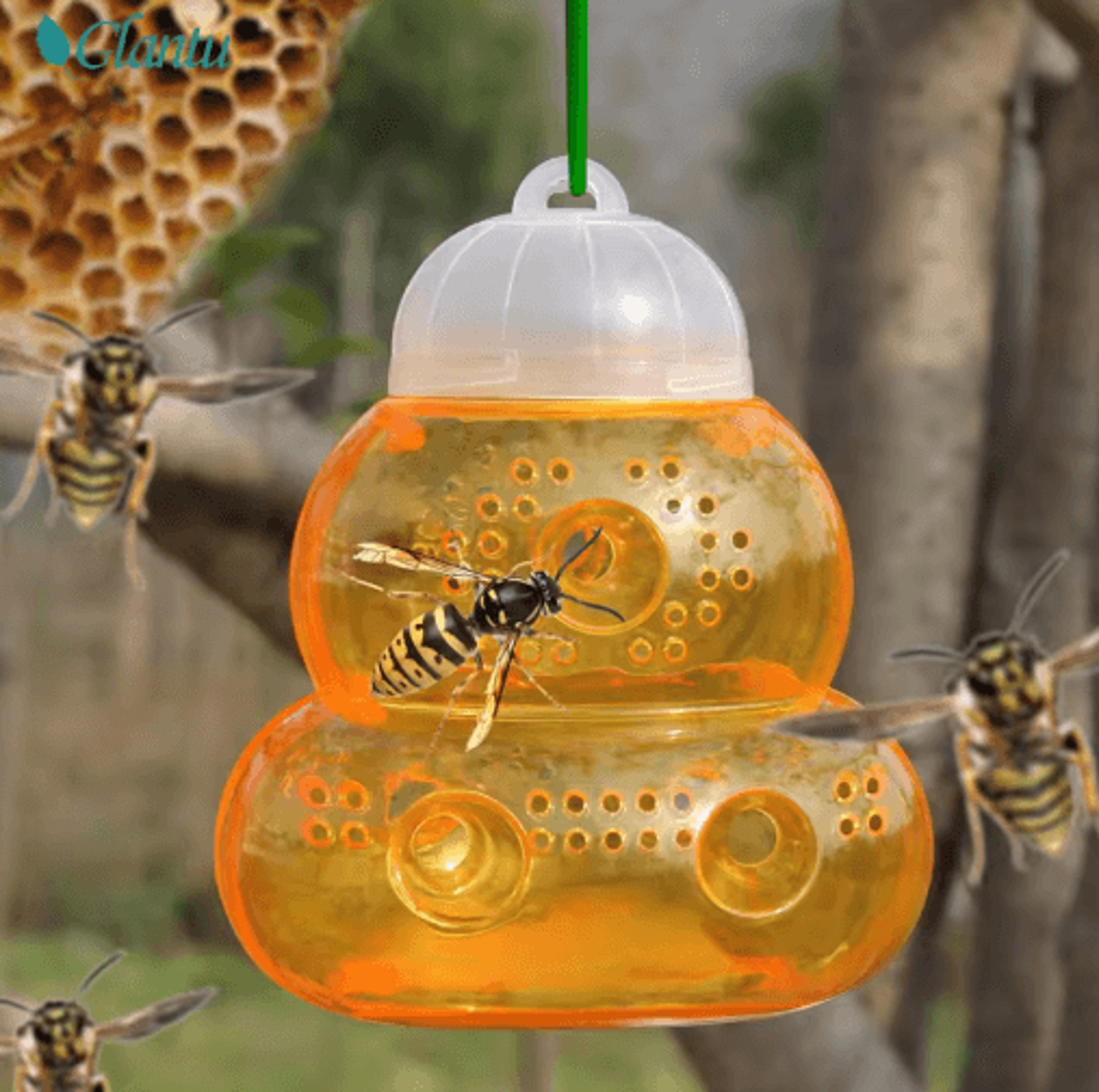 Reusable Outdoor Wasp Trap  NonToxic MultiHole Bee  Wasp Catcher For Garden Farm  Yard 0