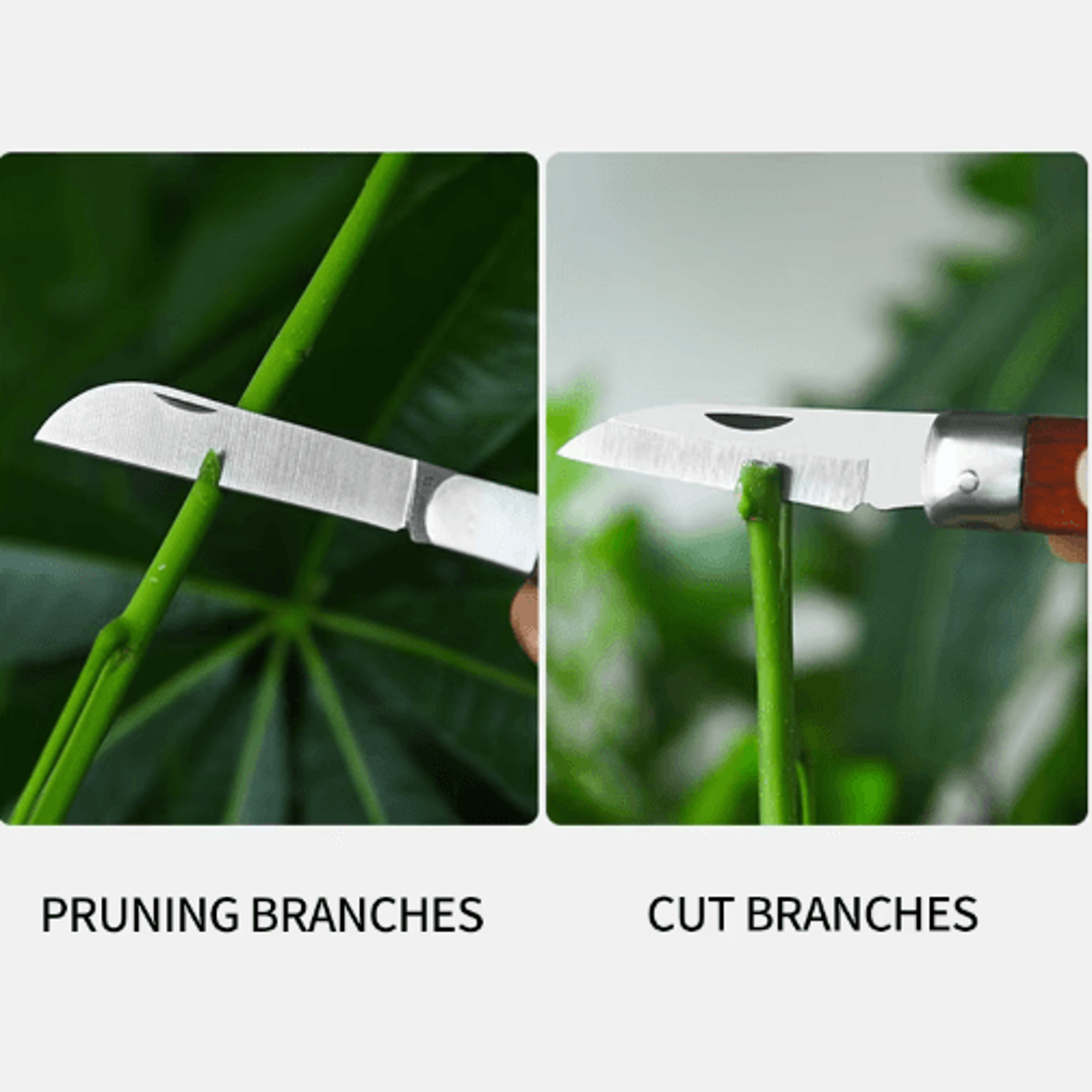 Folding Stainless Steel Grafting Scissors  Knife  MultiFunction Gardening Pruning Tool 4
