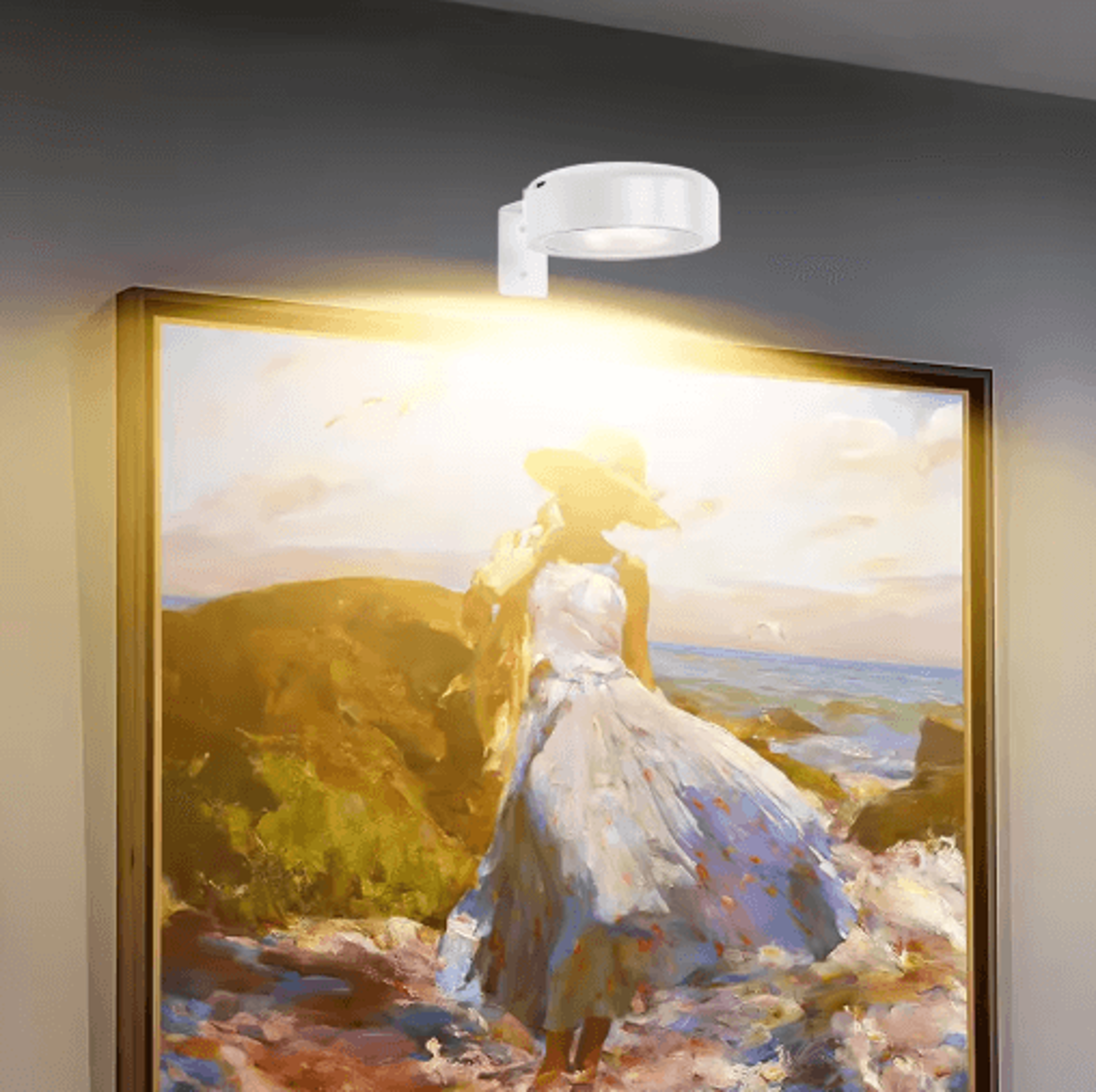 23Pack Rechargeable LED Picture Lights  Remote Control Wall Art Lamps With Timer  3 Lighting Modes 13
