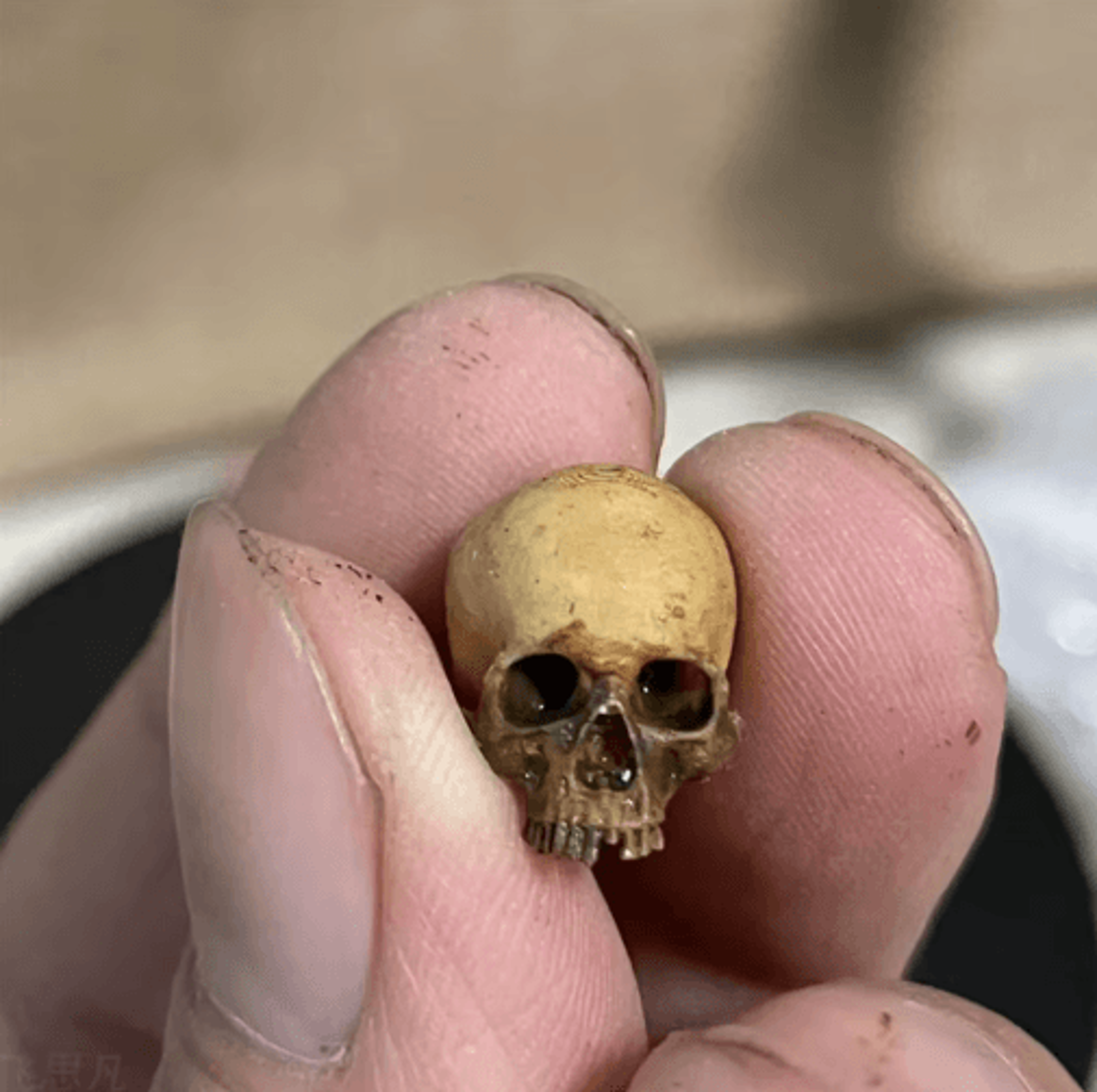 Mini Skull Halloween Decoration  Realistic Miniature Skeleton Model For Dollhouse Plants  Displays 5
