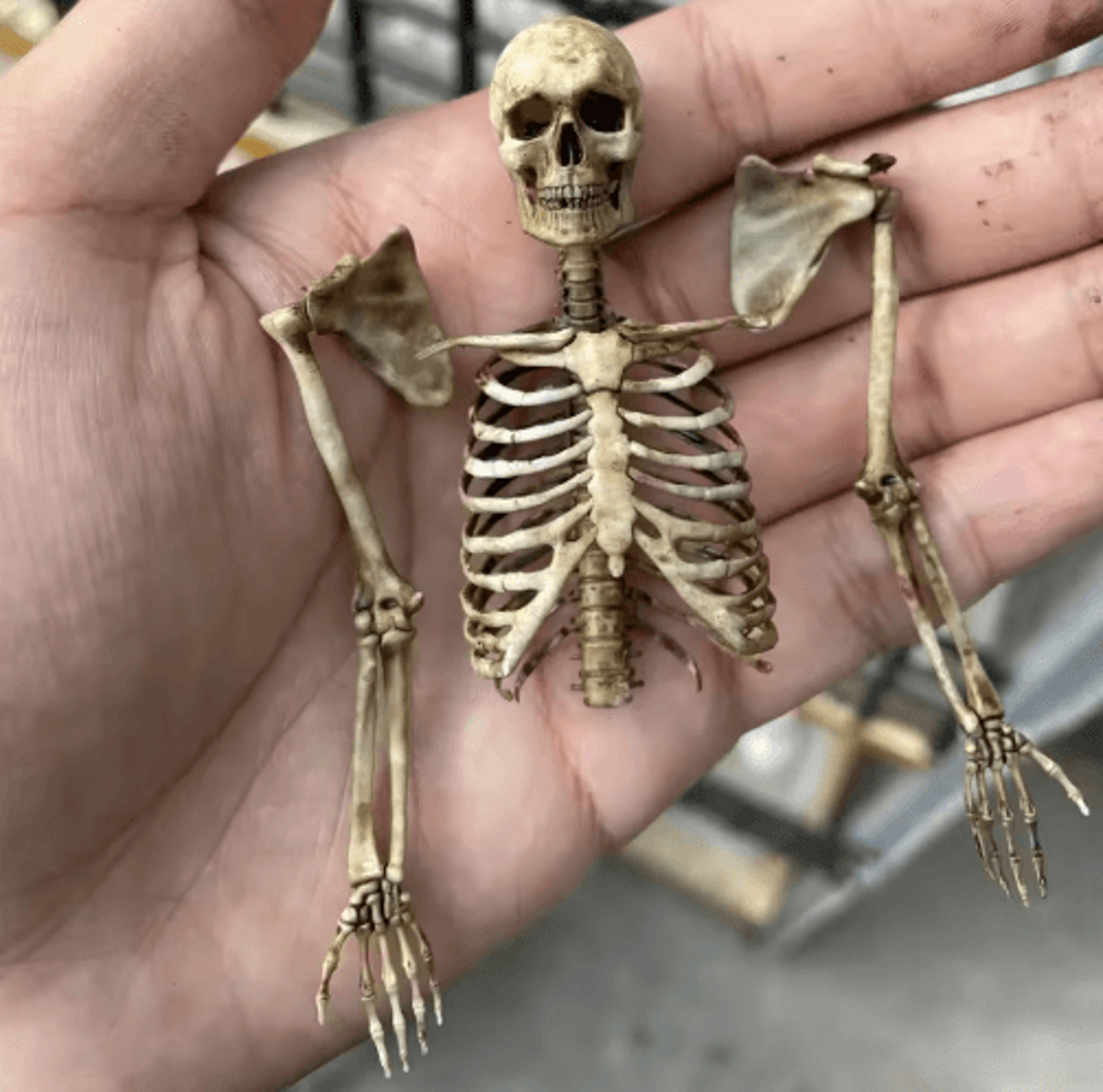 Mini Skeleton Skull Model  Realistic Halloween Miniature For Dollhouse Plants  Spooky Decor 2