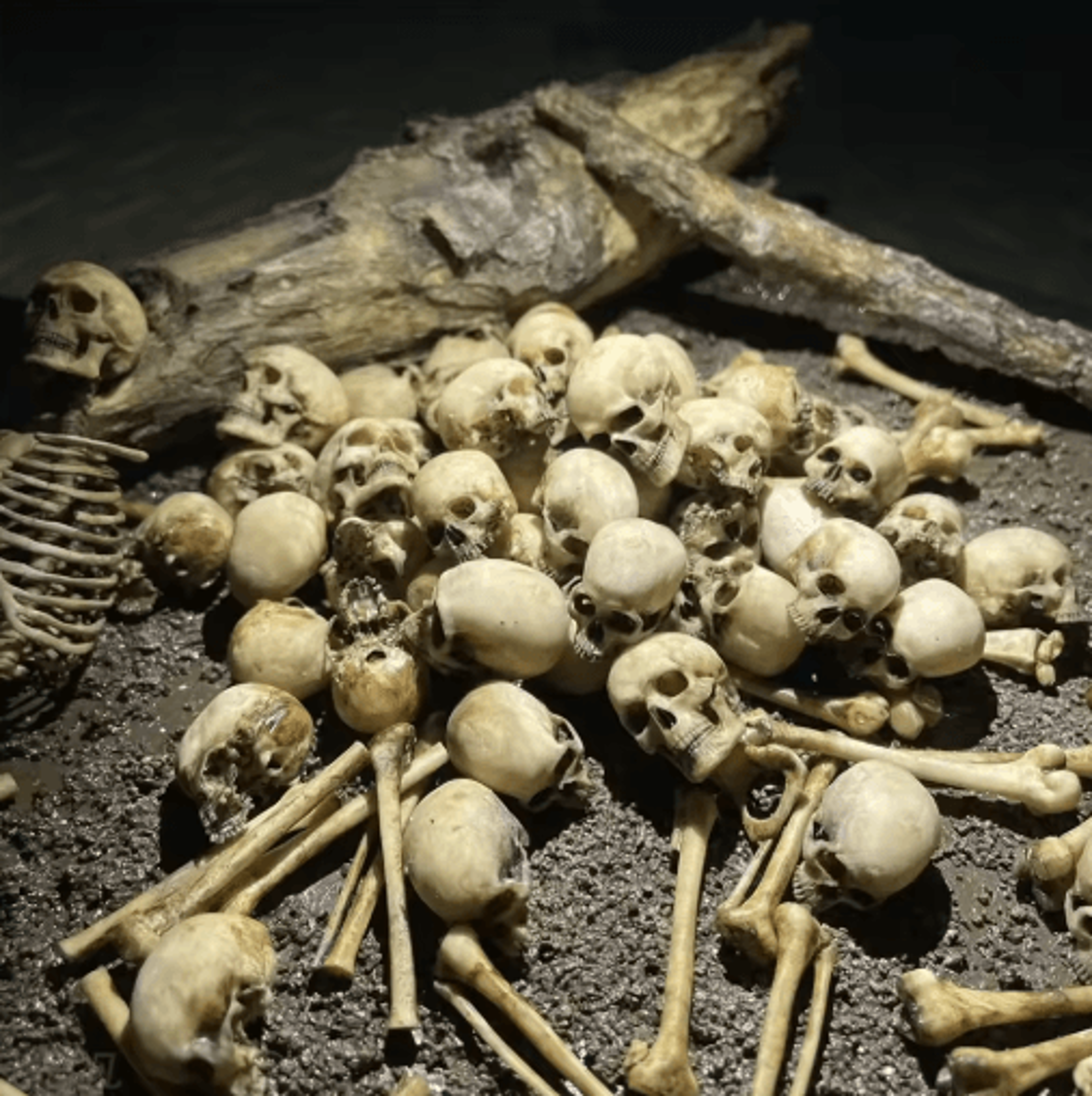 Mini Skeleton Skull Model  Realistic Halloween Miniature For Dollhouse Plants  Spooky Decor 5