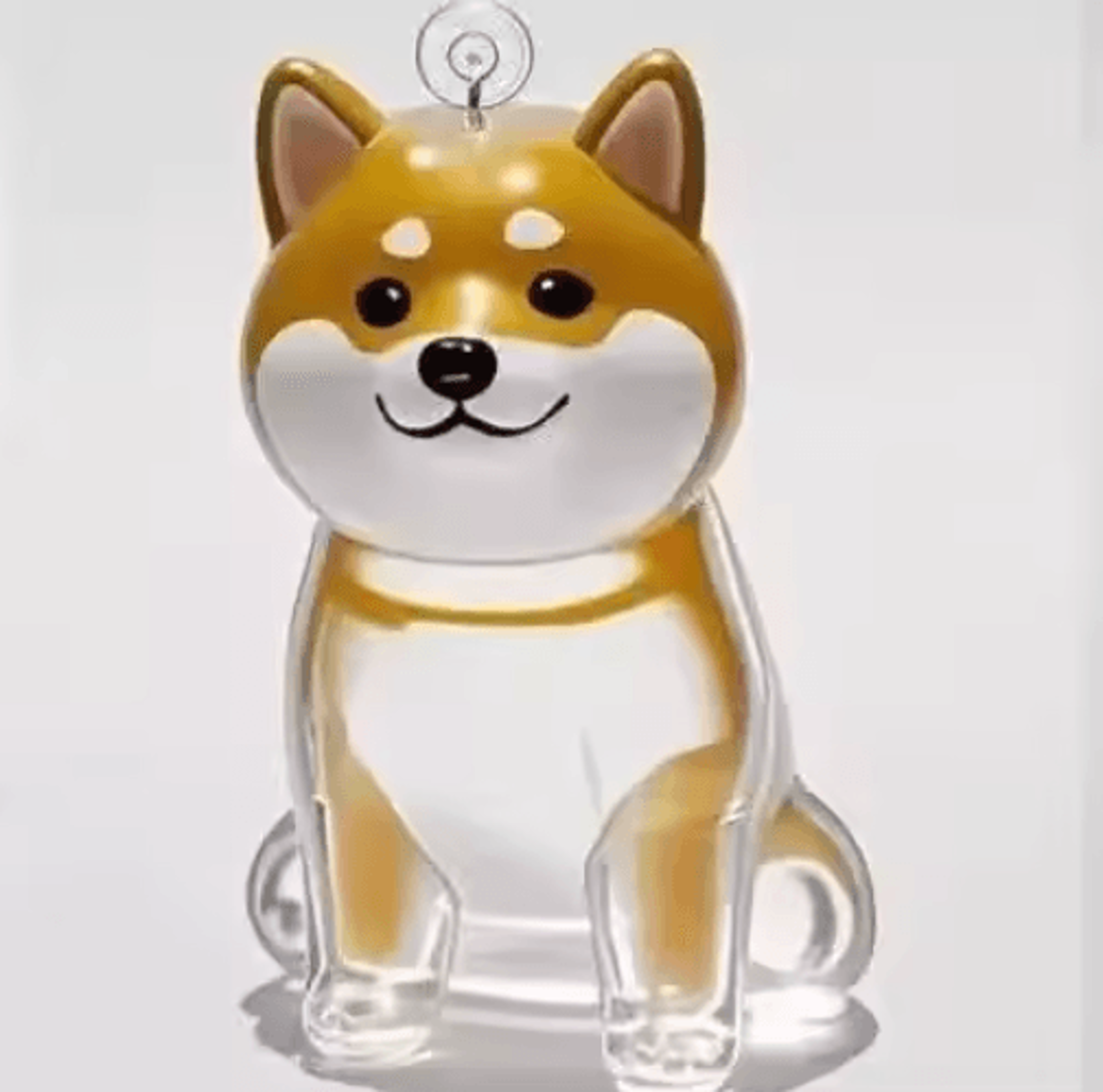 Pet Hair Memorial Keychain  Transparent Cat  Dog Fur Keepsake Storage Pendant For Pet Lovers 4