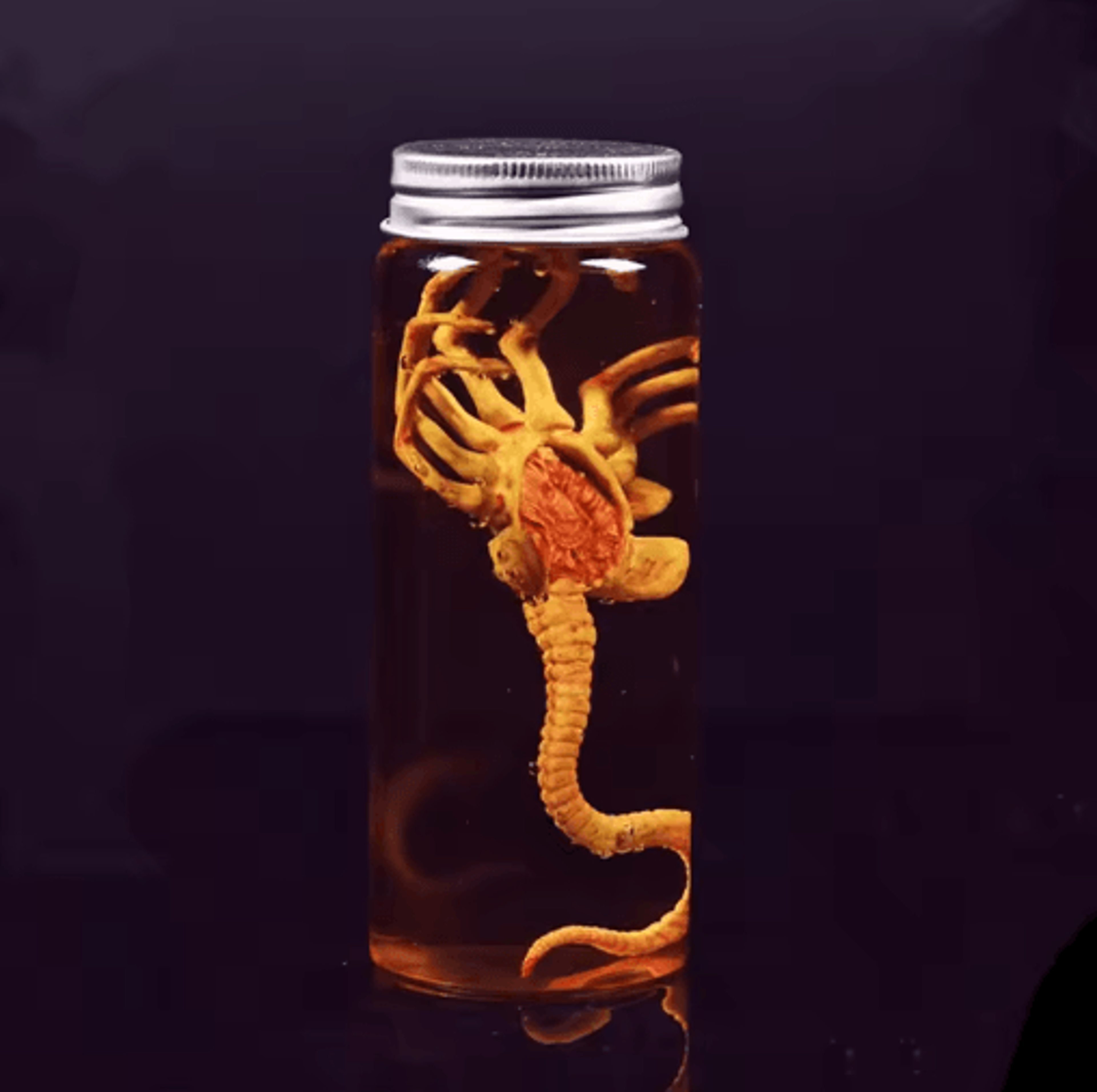 Xenomorph Facehugger Specimen Jar SciFi Prop Replica 0